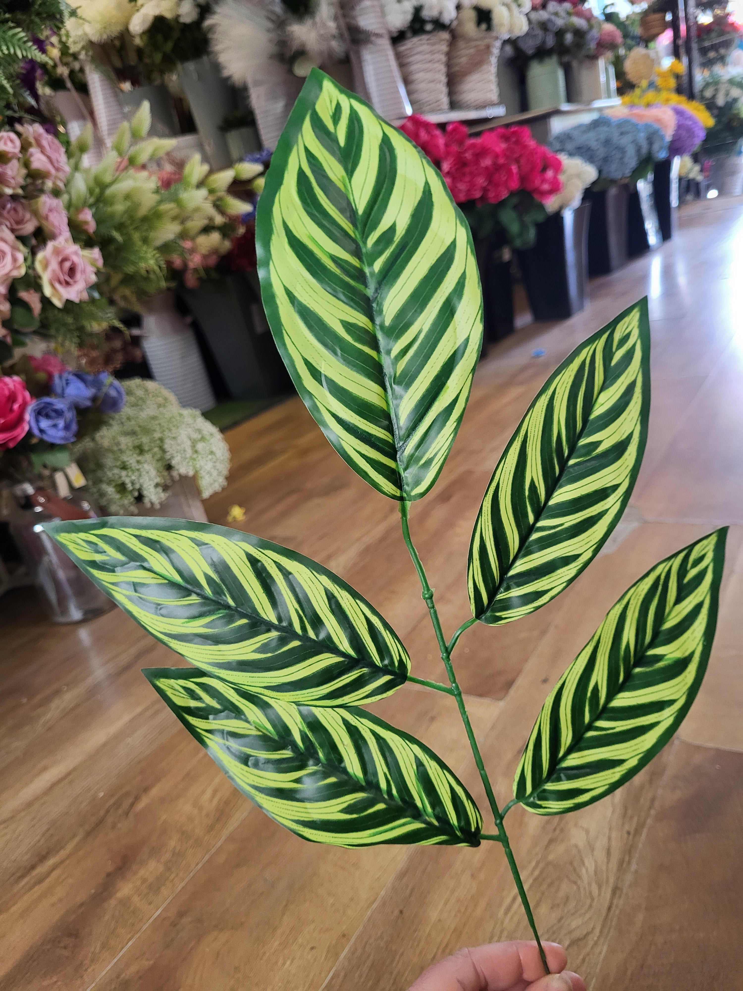 Striped large leaf pick image 3