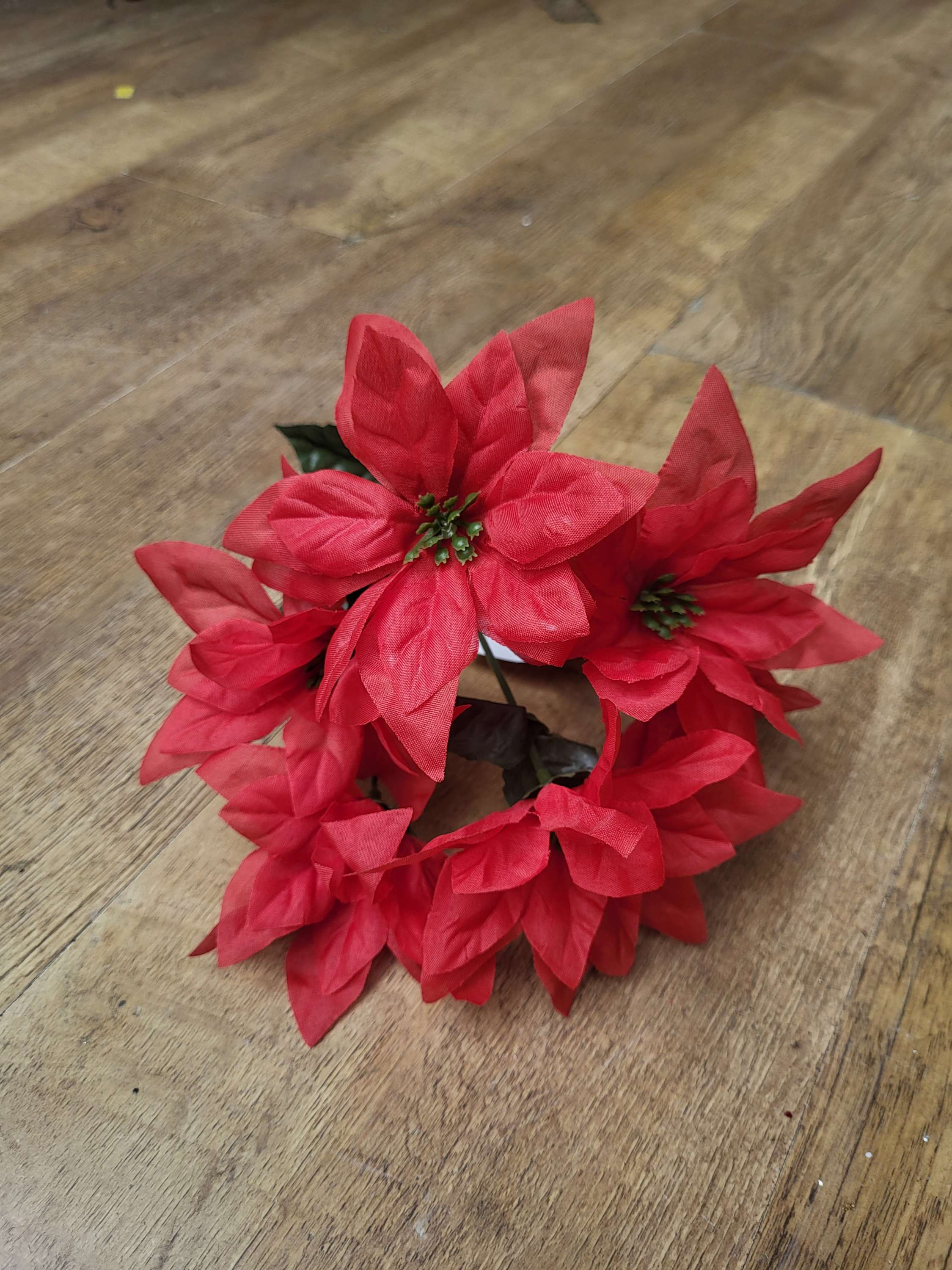 Red poinsettia bunch image 1