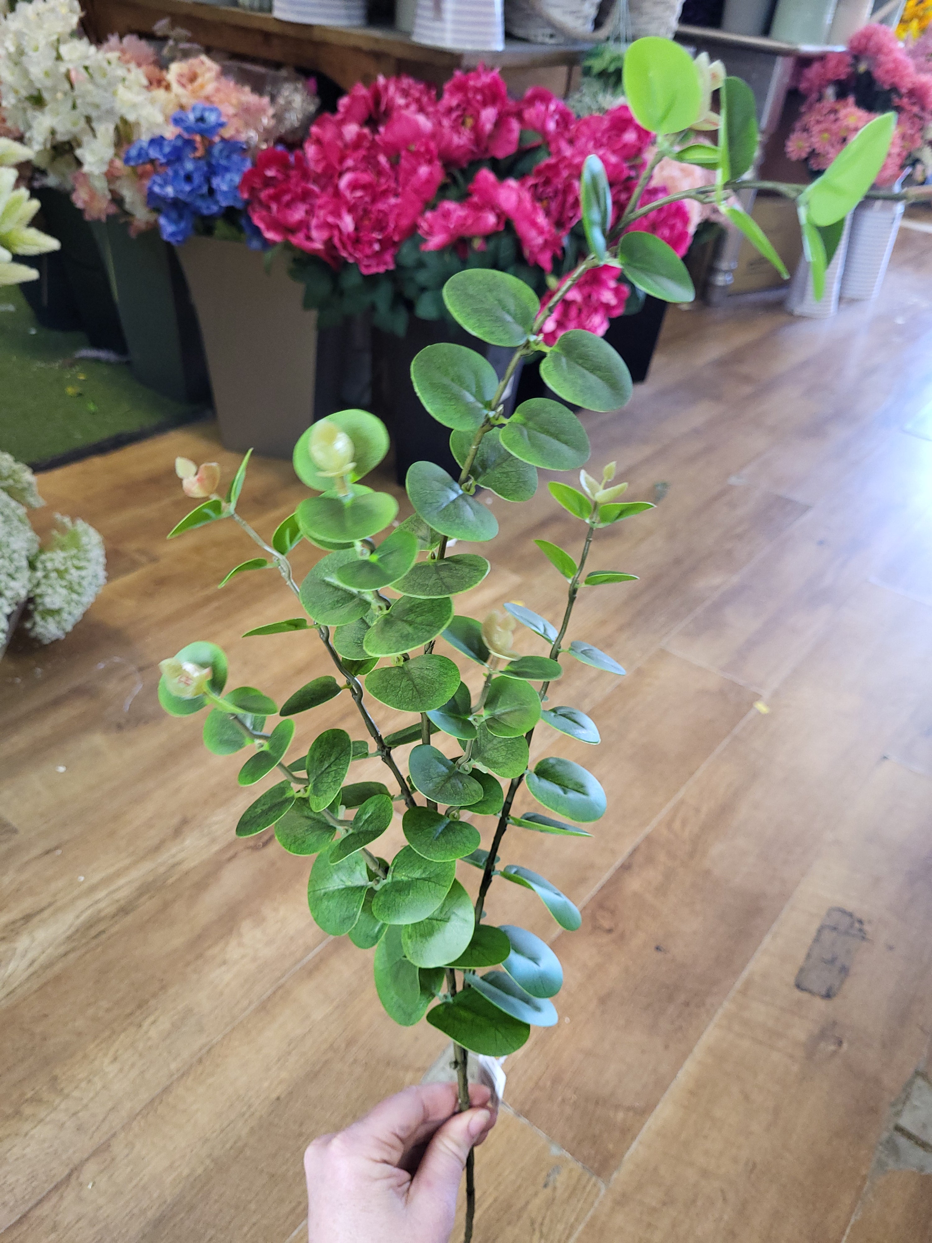 Long stem eucalyptus spray  image 6