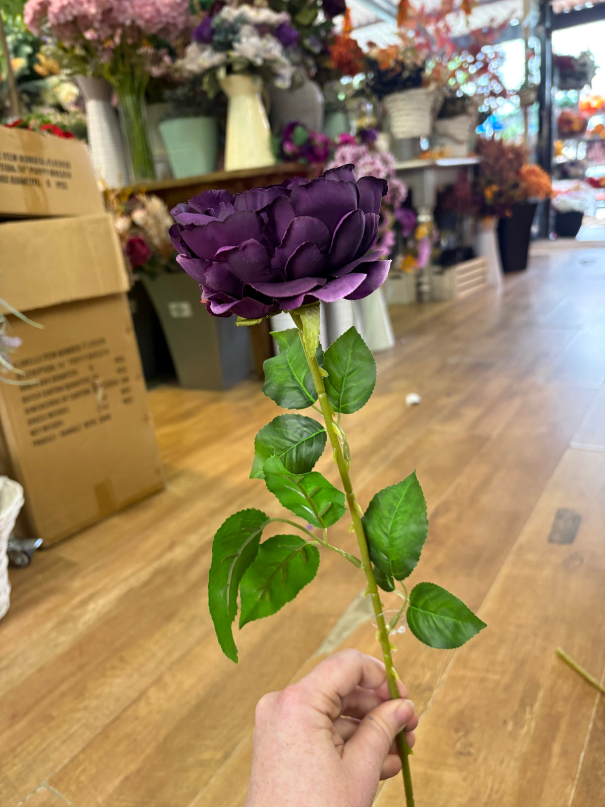 Long stem purple Lola peony
