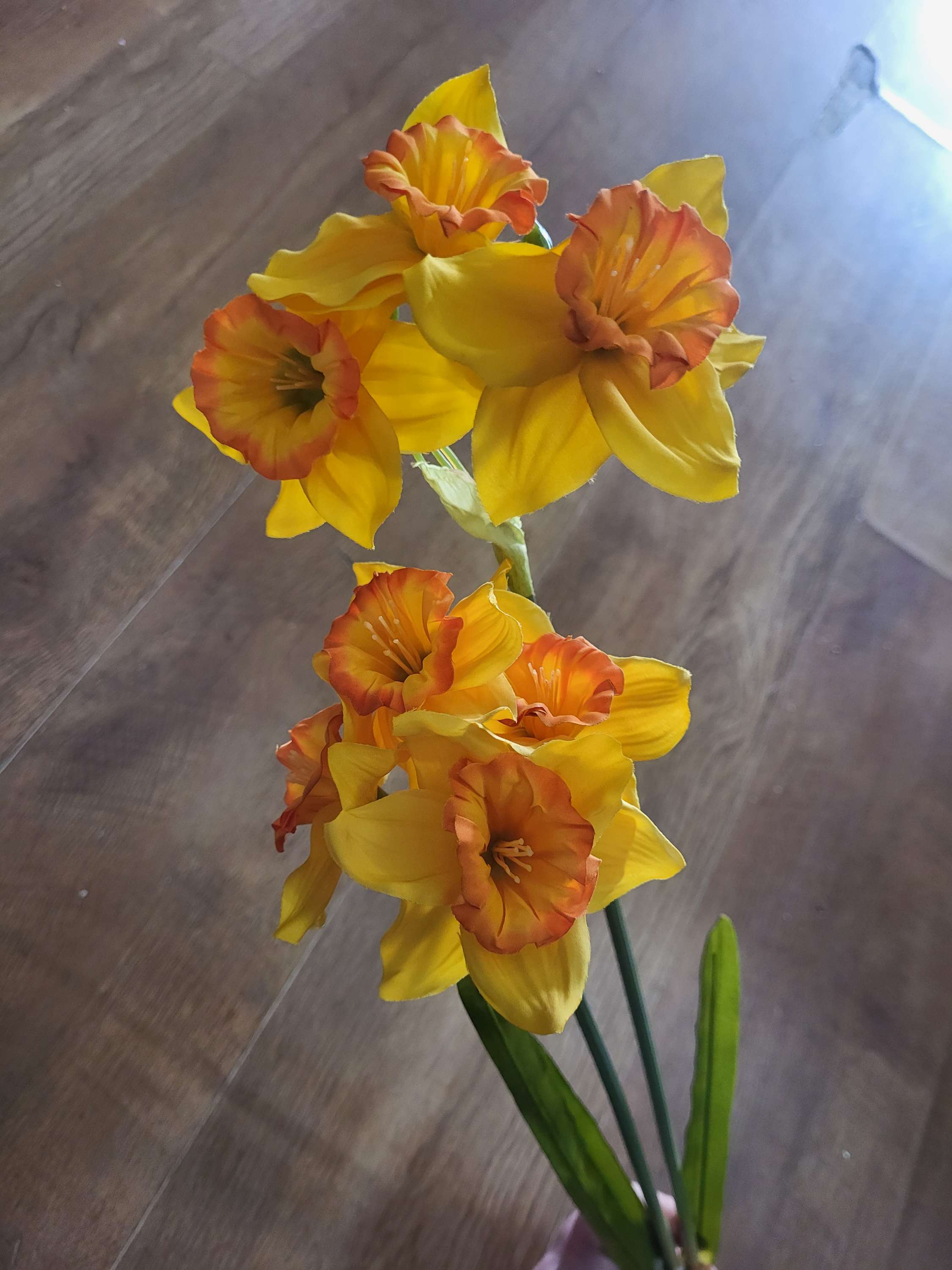 Long stem ruffled daffodil spray image 6