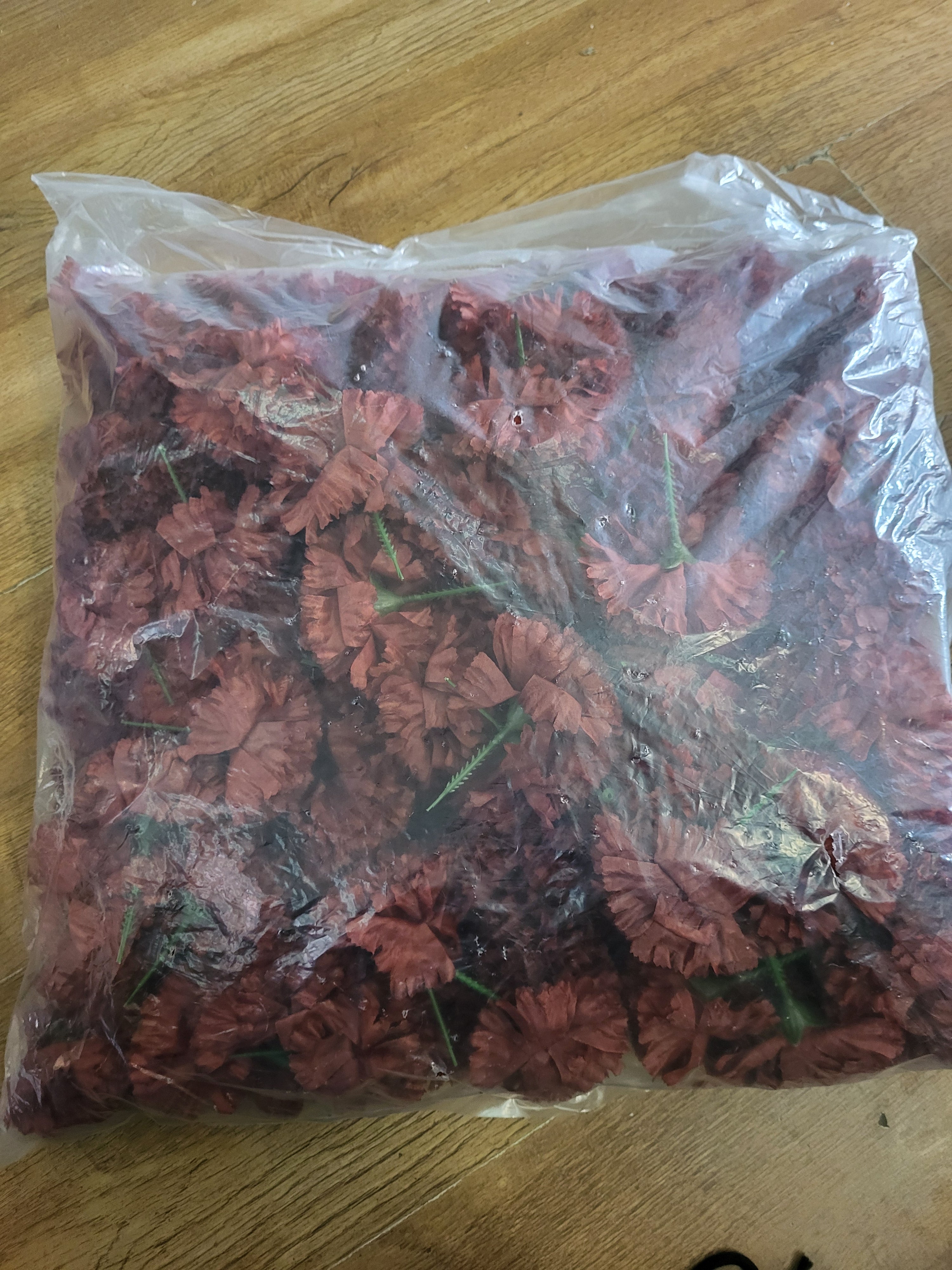 Bag of 144 brown carnation picks image 1