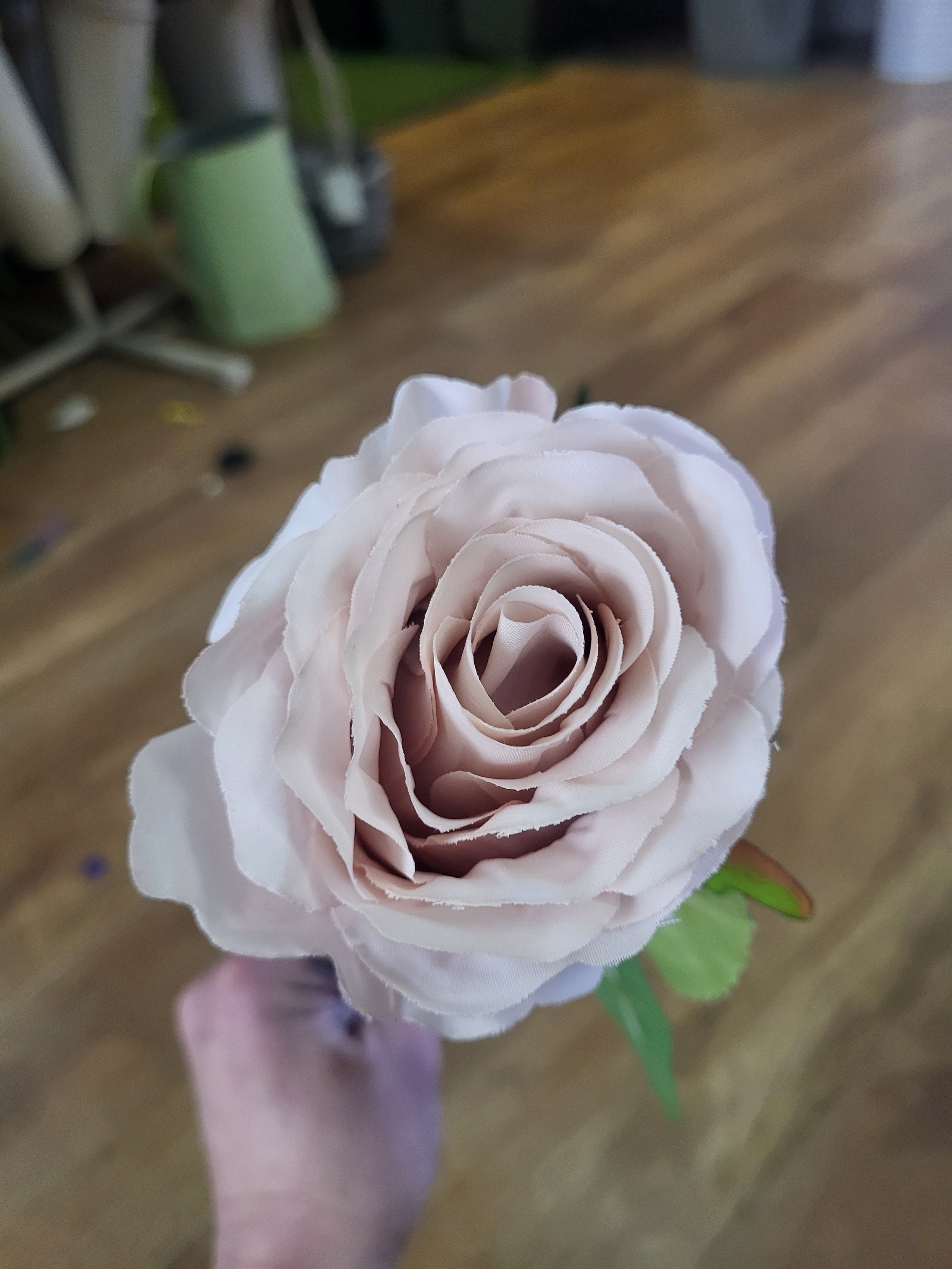 Nude Lila Rose  image 4