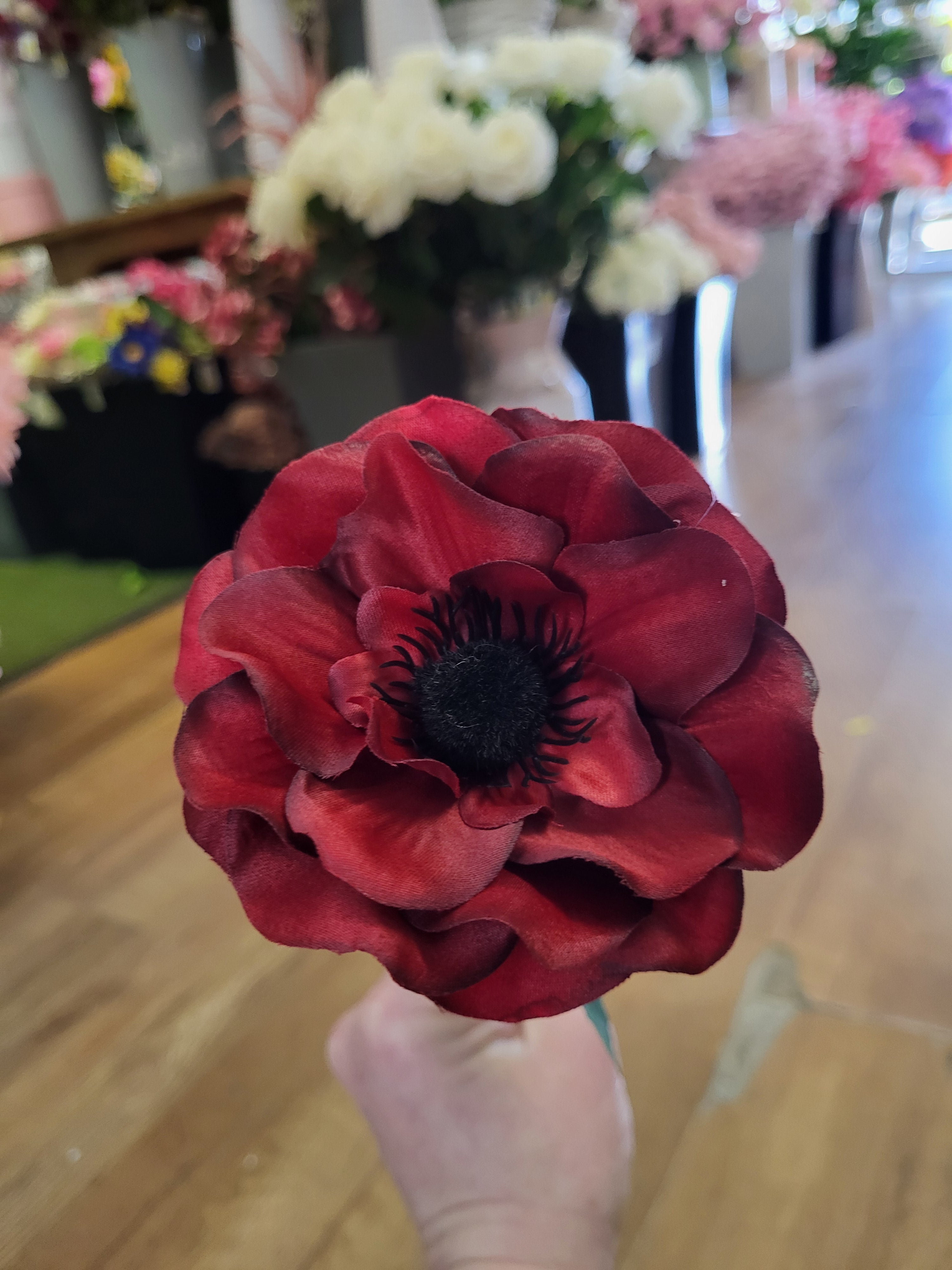 Single red anemone  image 1