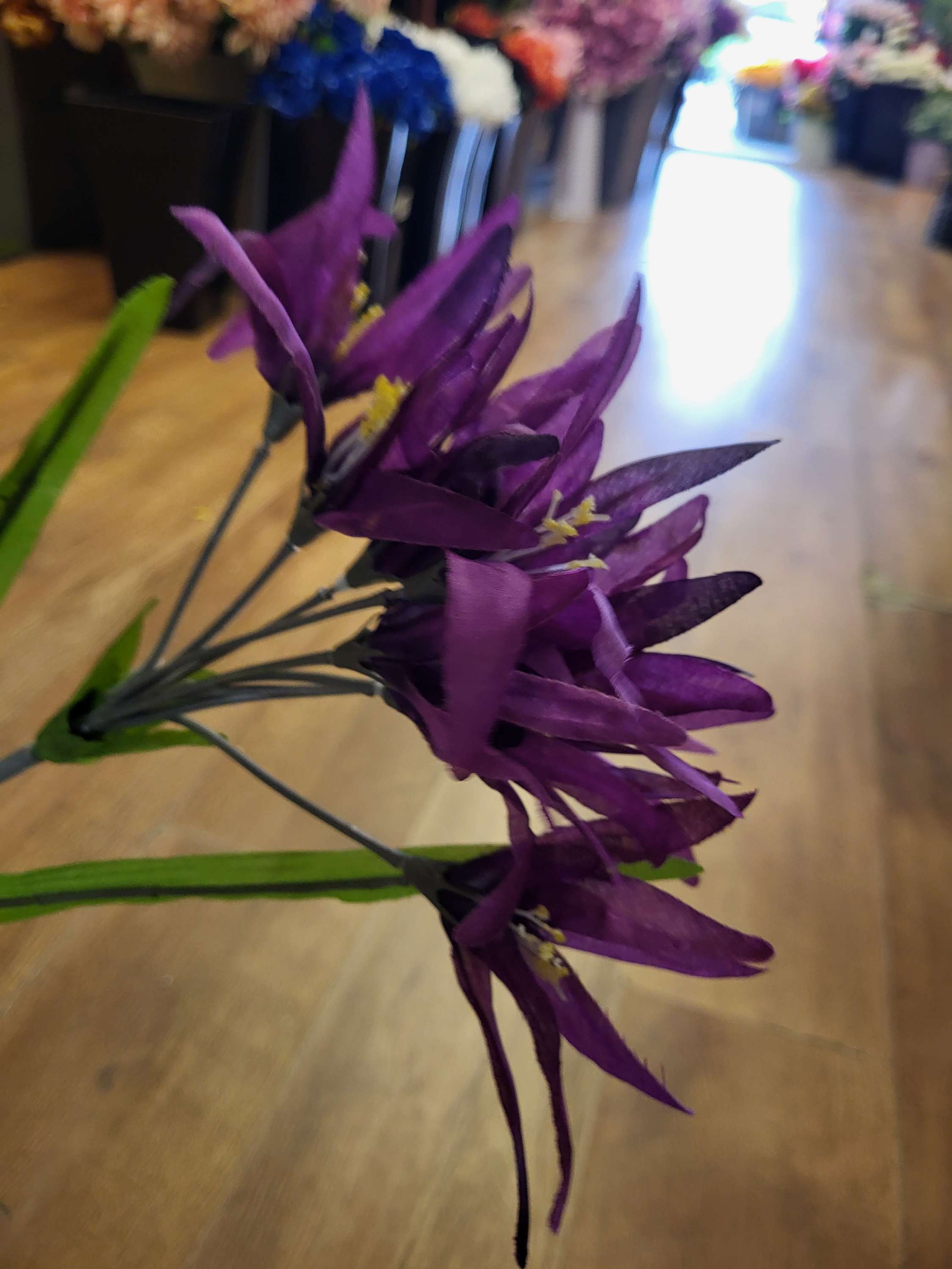 Long stem glory bush - 2 colours available image 2