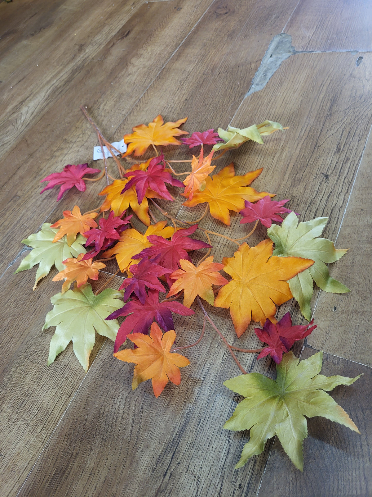Autumnal maple leaf branch image 1