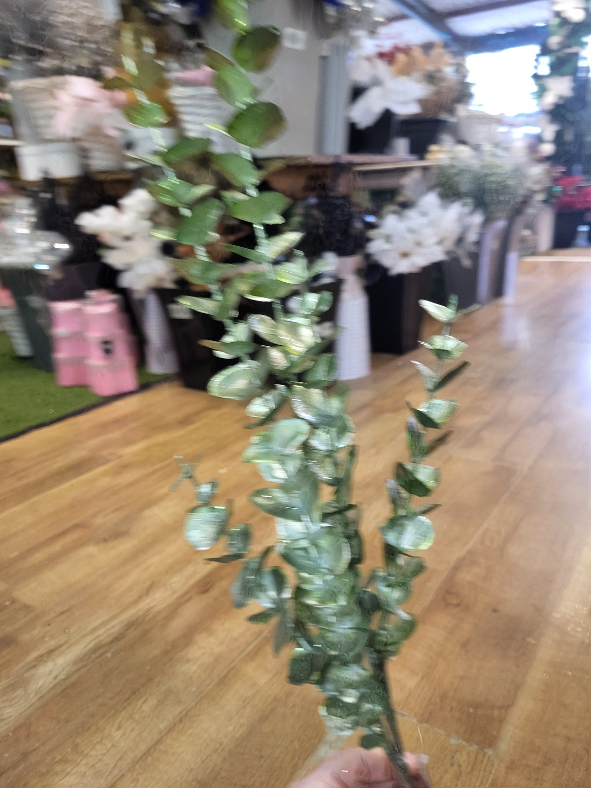 Long stem metallic sage green eucalyptus image 1