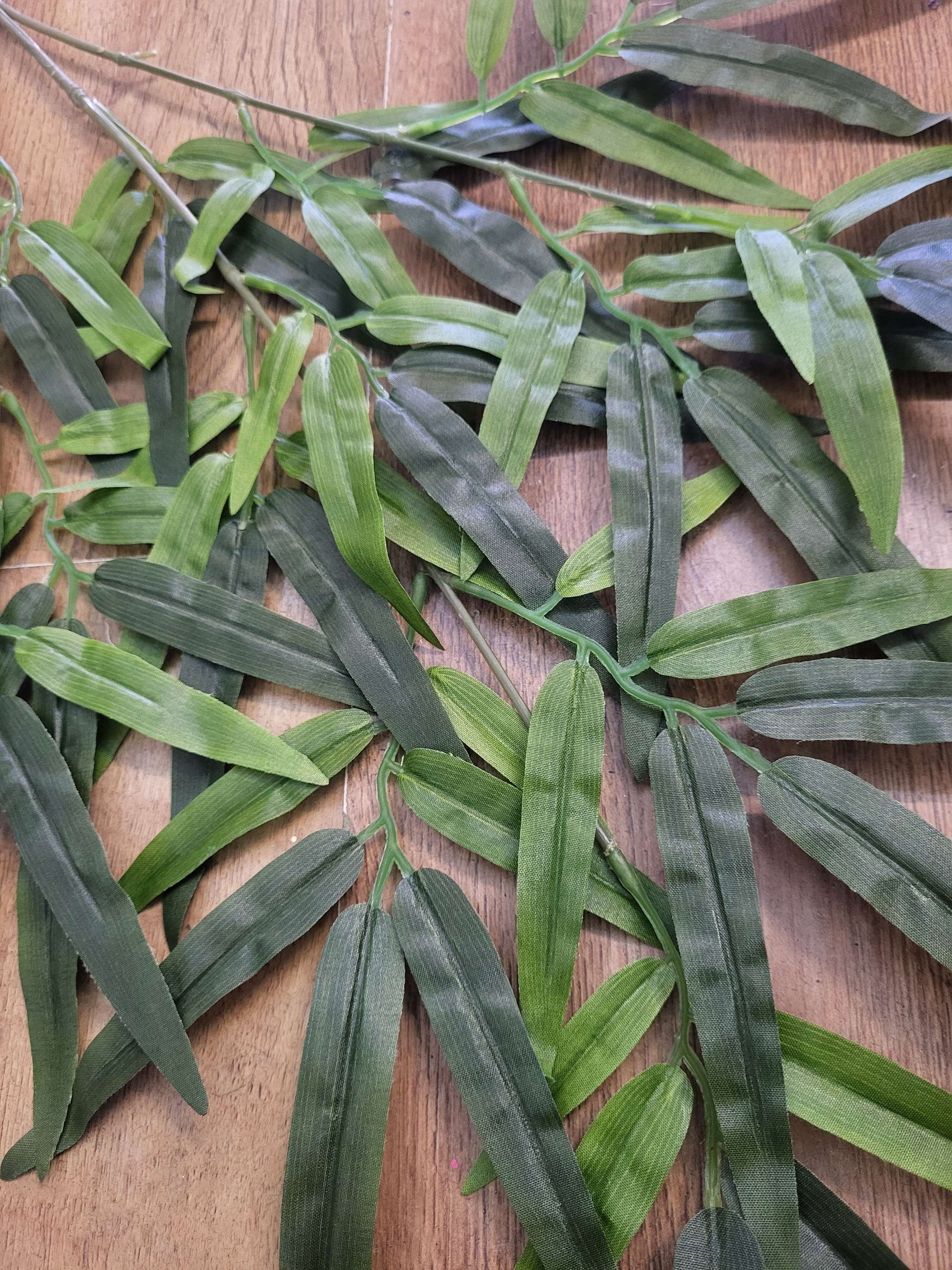 Bamboo leaf spray image 2