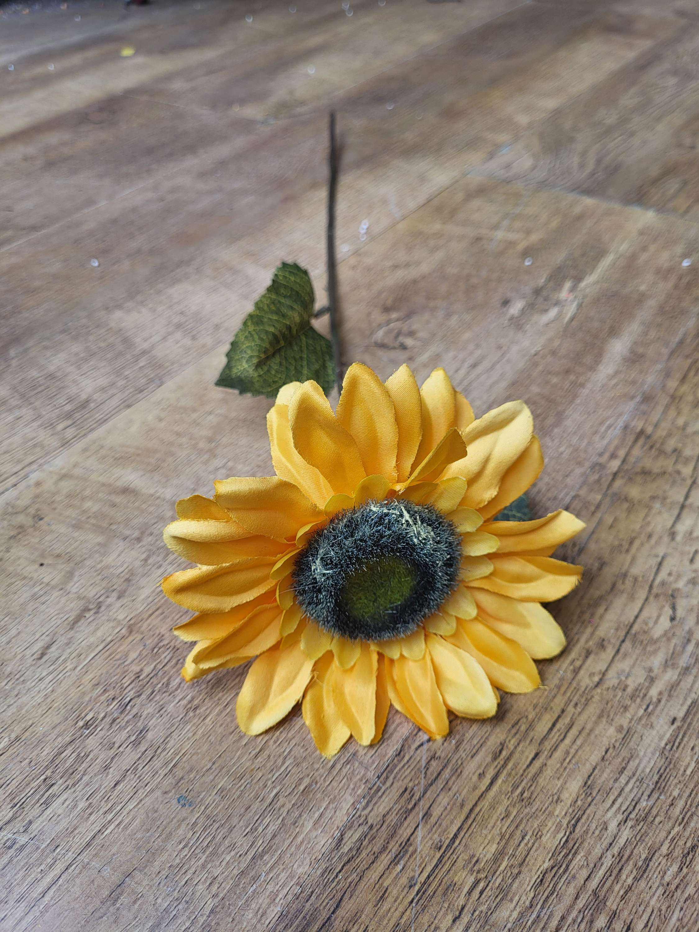 Medium length single sunflower  image 3