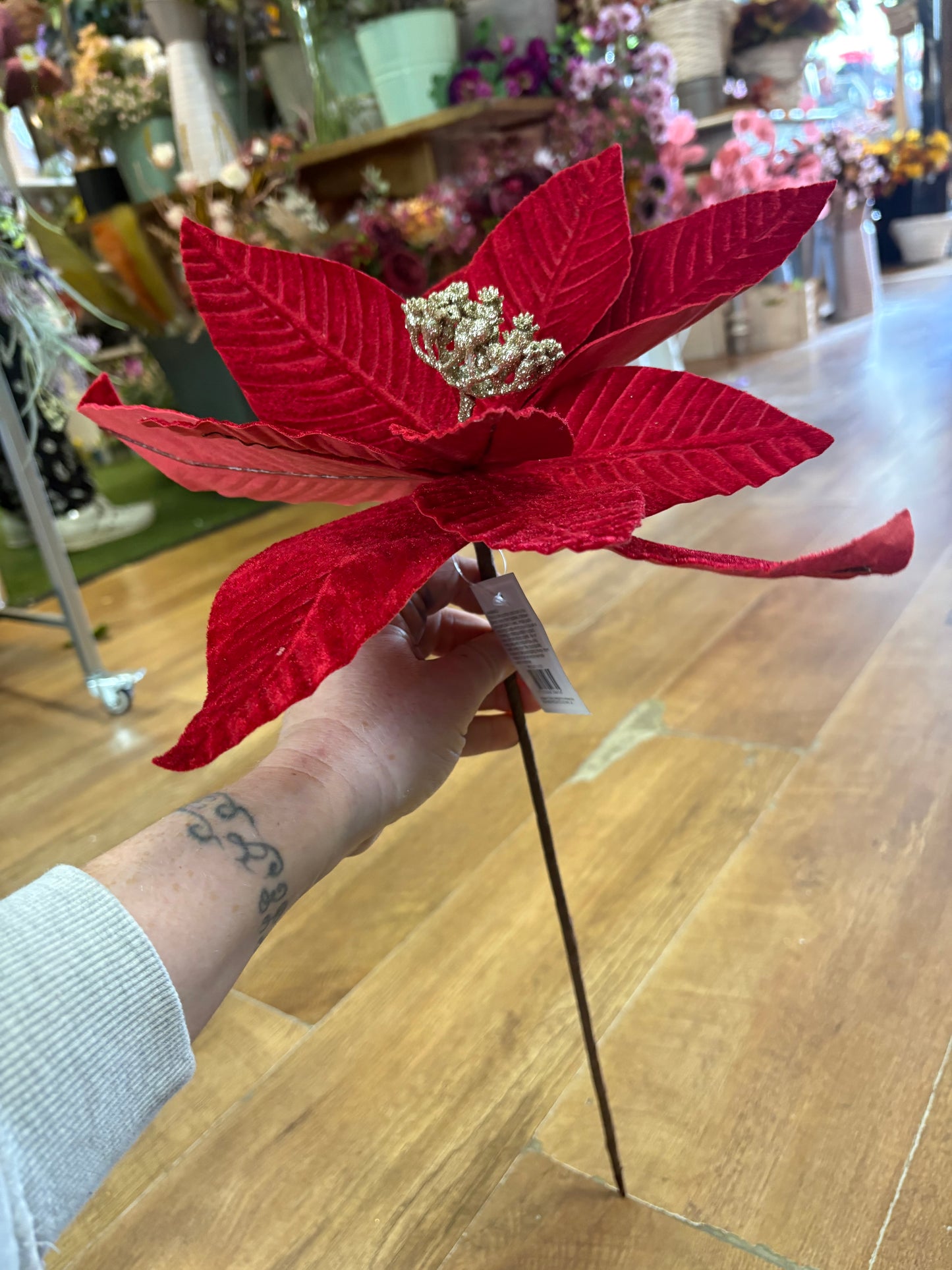 Large red velvet single poinsettia