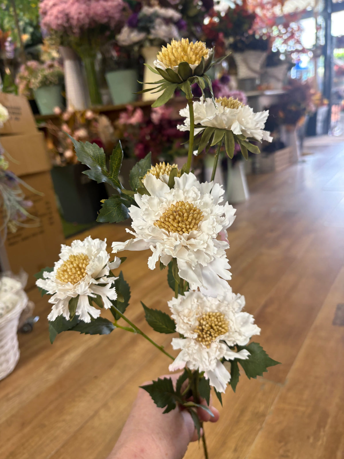 75cm tall cream ruffled scabiosa spray