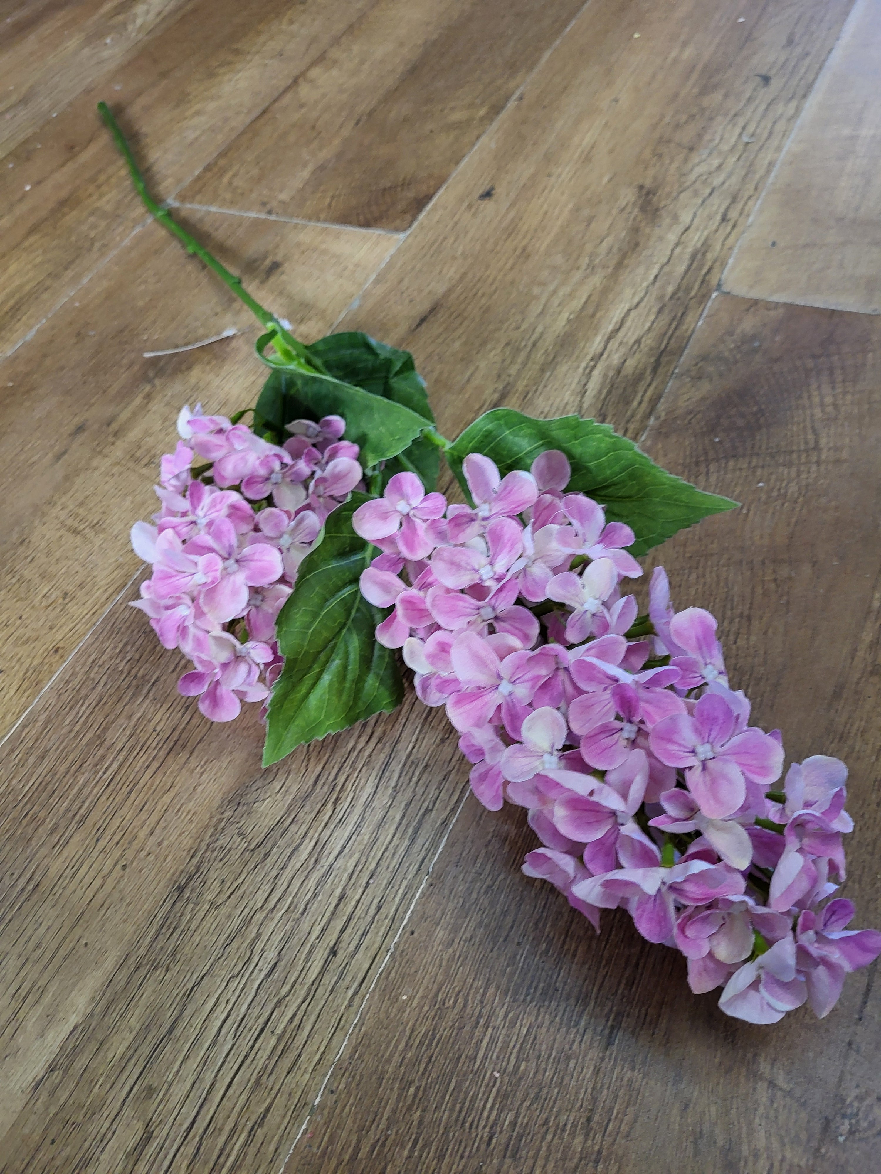 Long stem light pink paniculata hydrangea  image 6