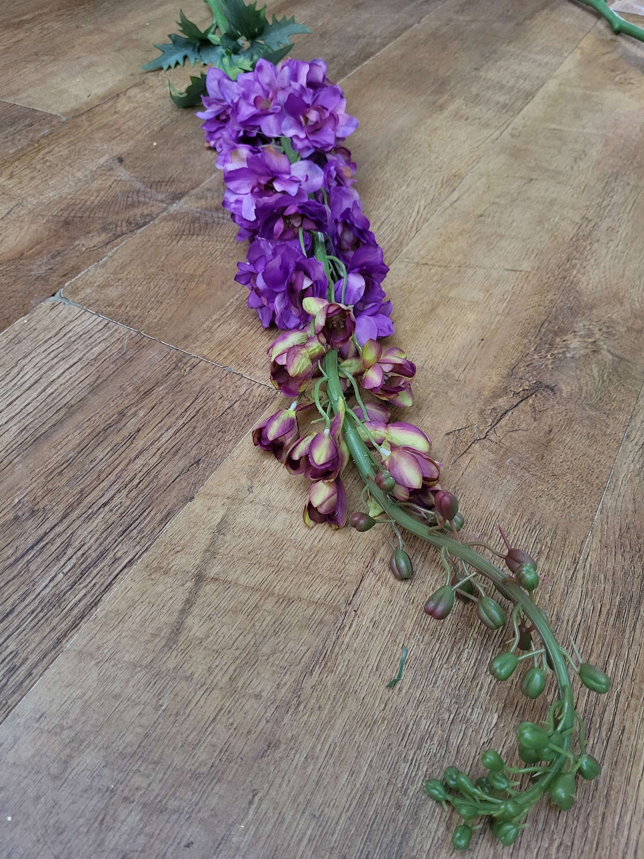 Giant delphiniums!! 137cm tall! - 4 colours available image 5