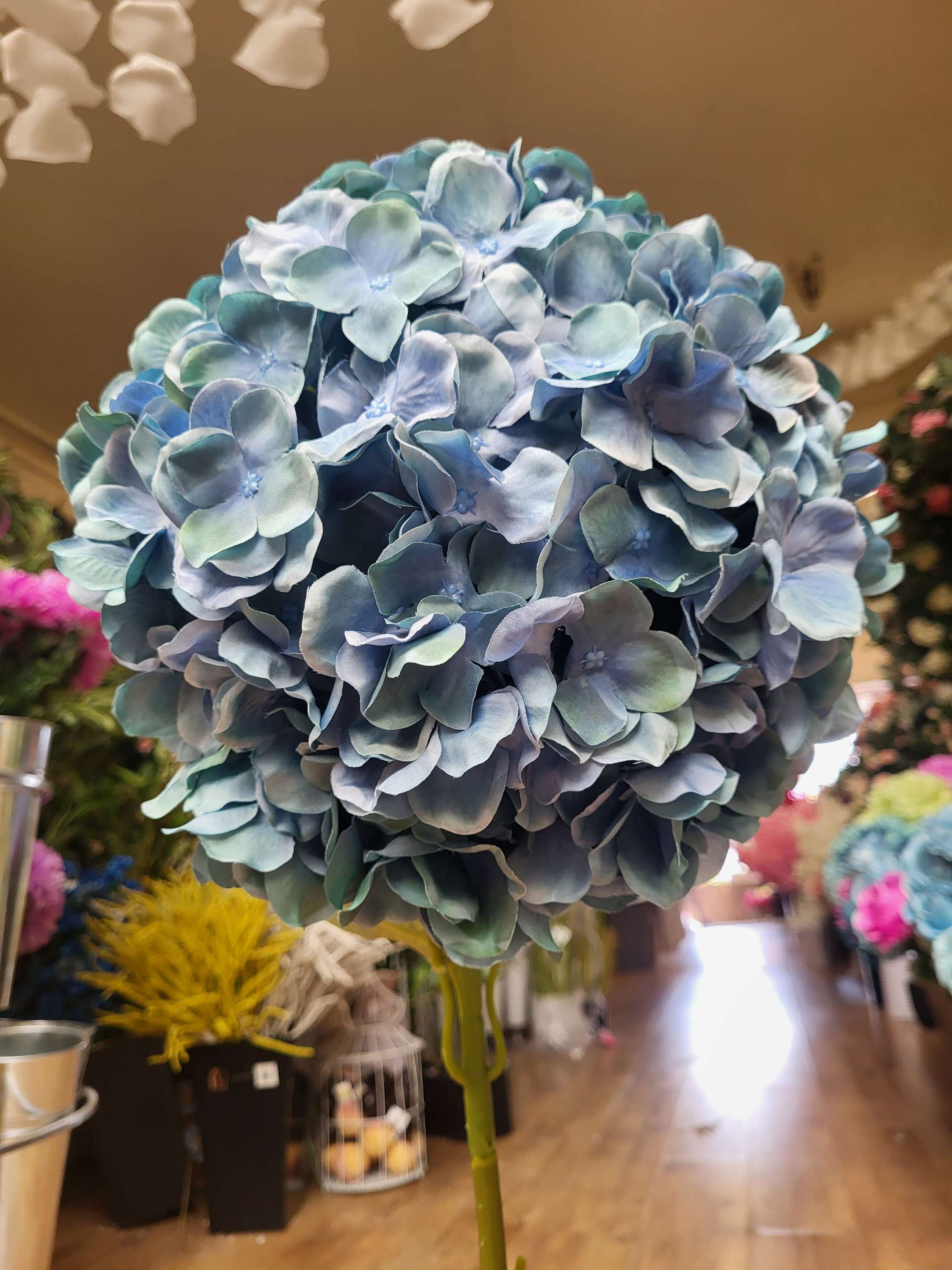 Giant head mixed blue/green premium hydrangea  image 0