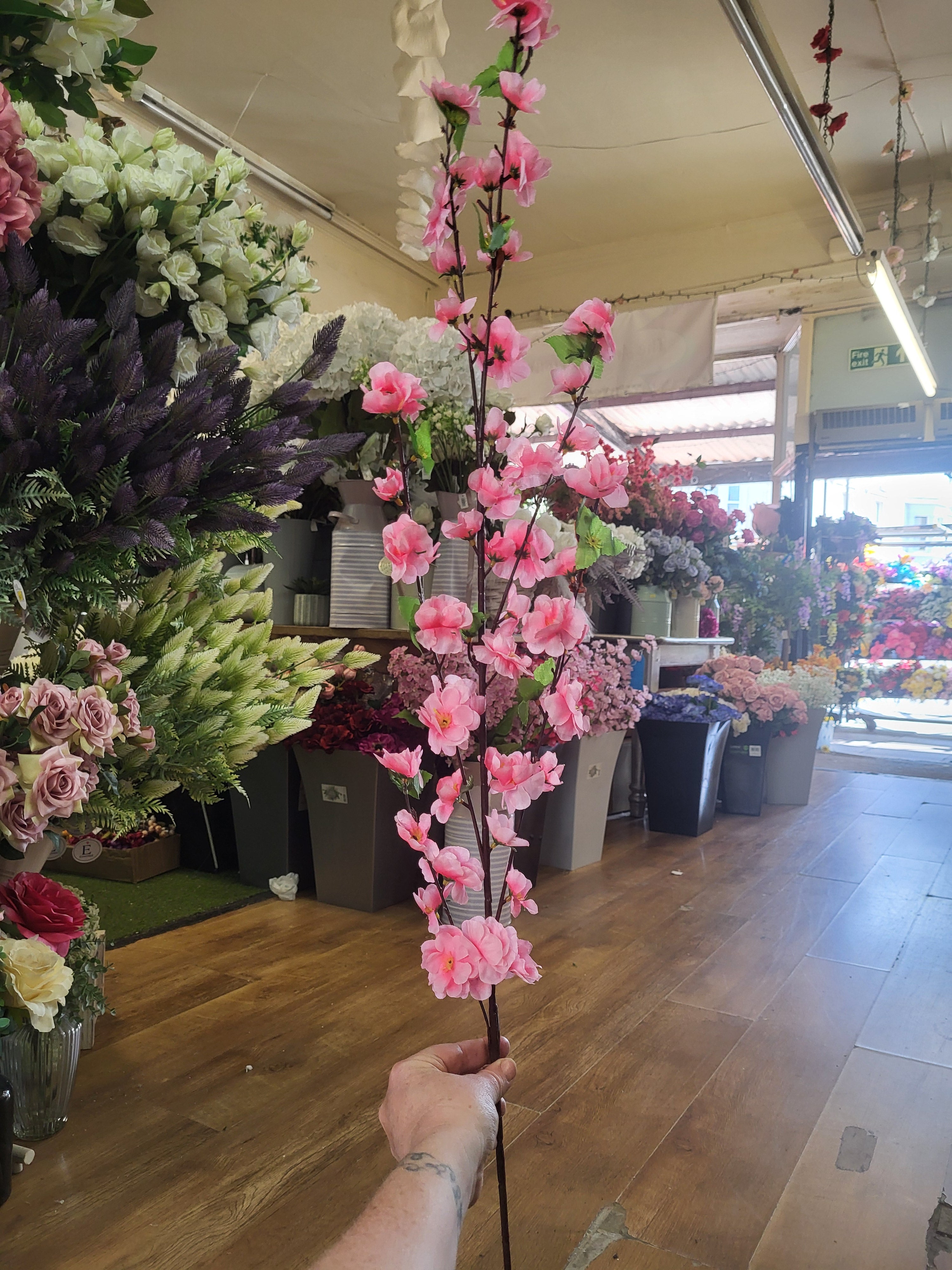 Extra tall pink blossom stem image 0