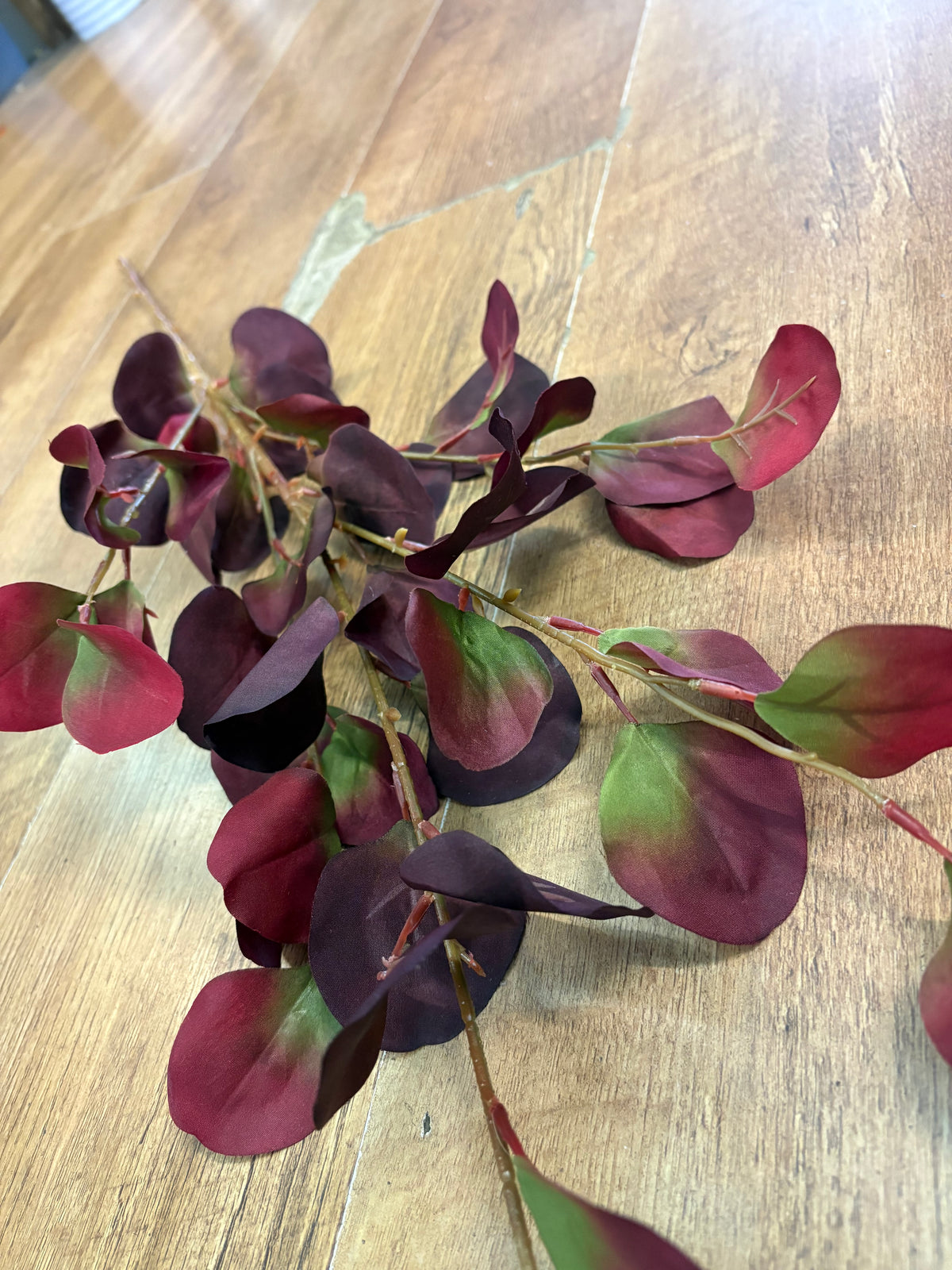 90cm tall burgundy and green silver dollar eucalyptus spray