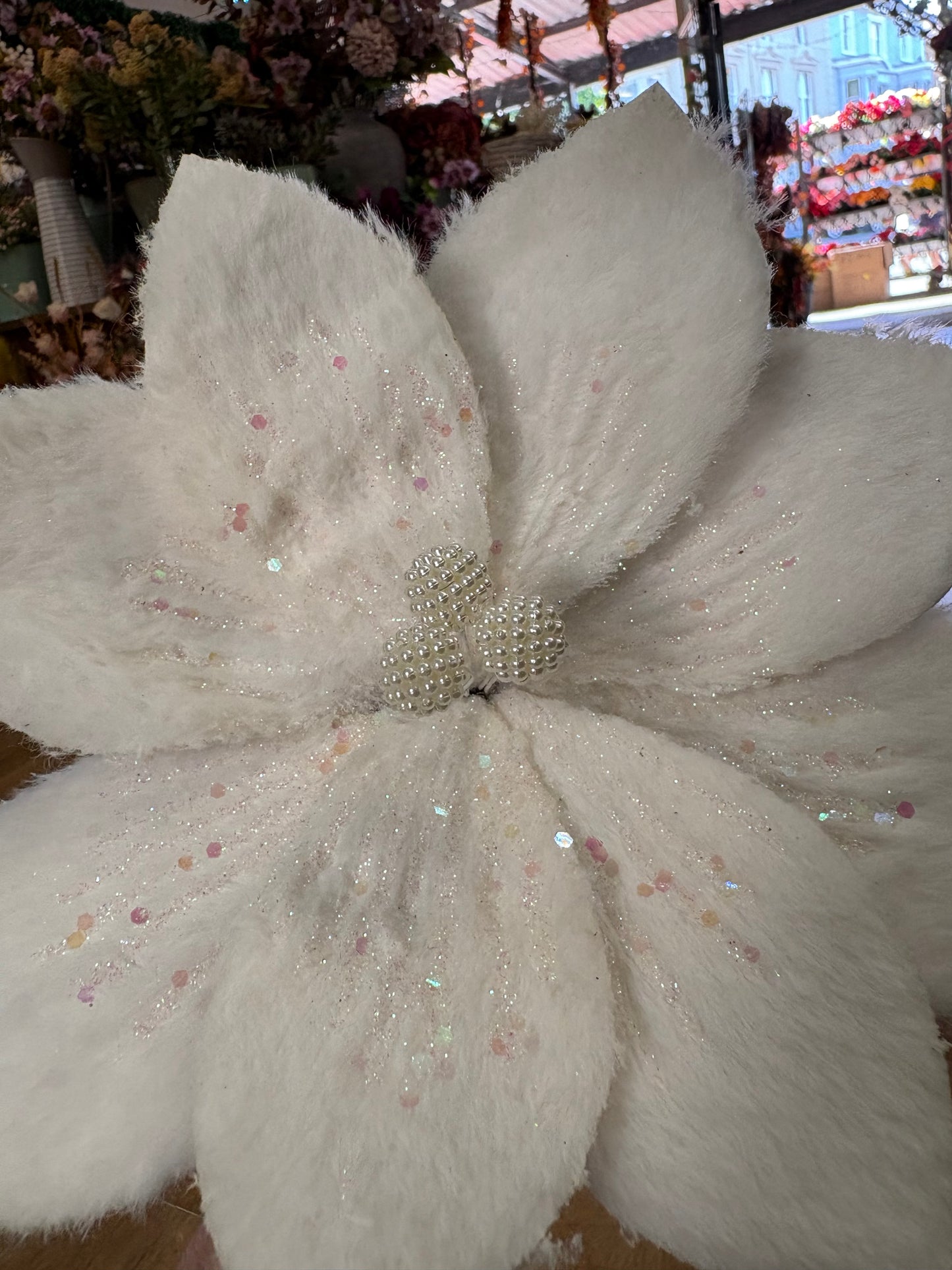 Fluffy white glittered single poinsettia