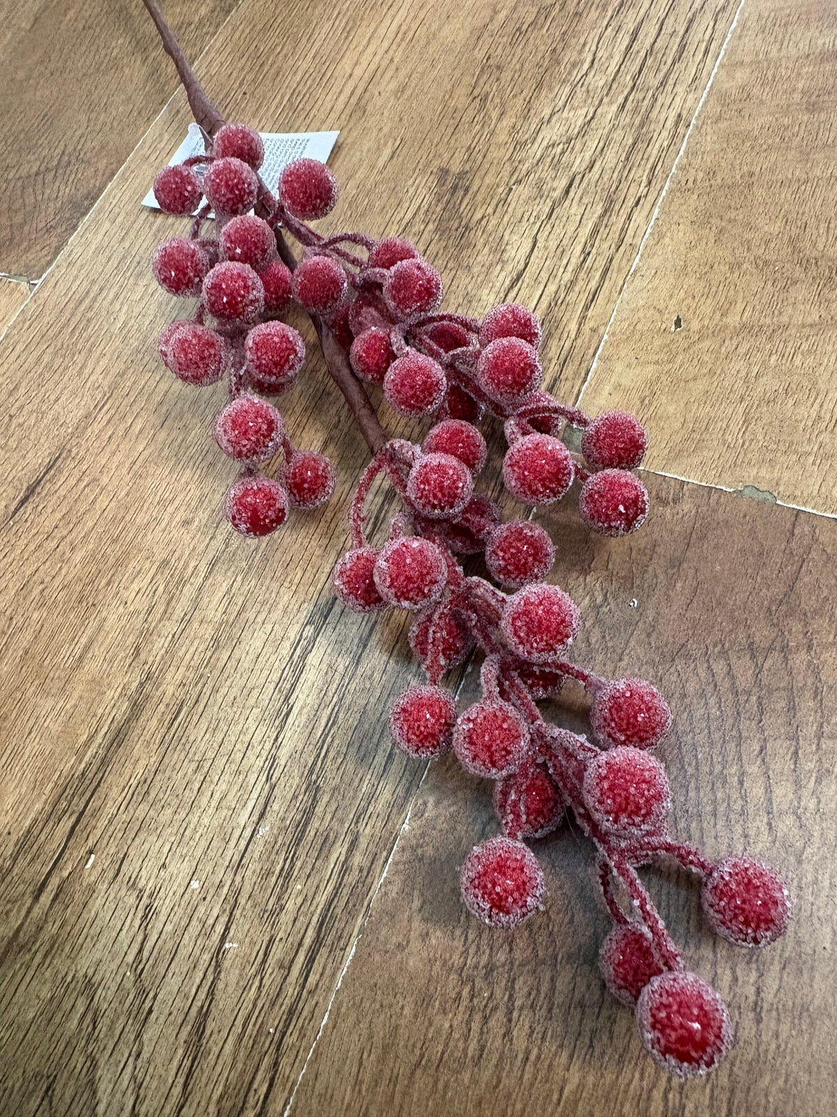 Mediums length frosted darker red berry stem