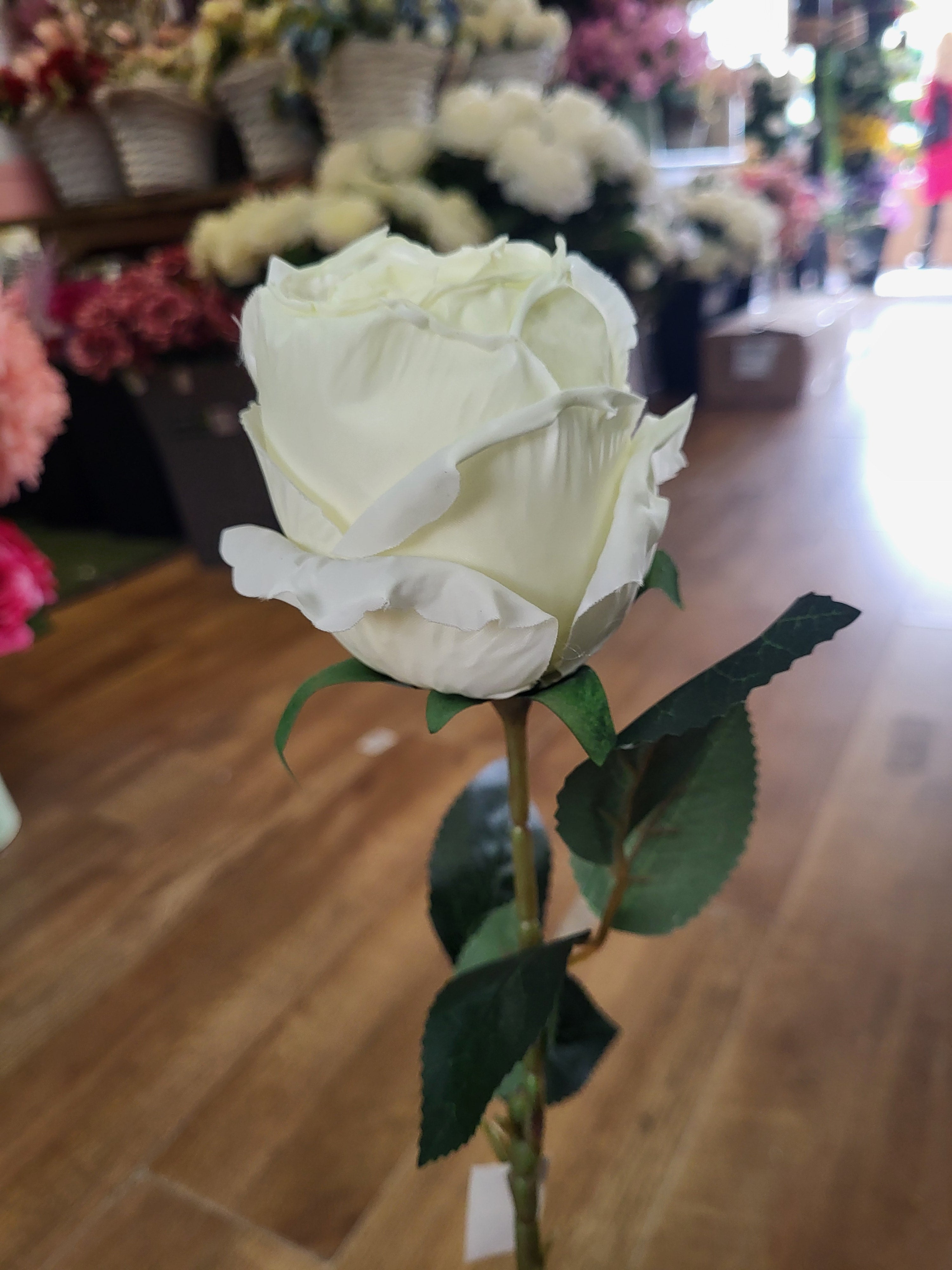 Long stem dried inspired ivory globe rose image 1