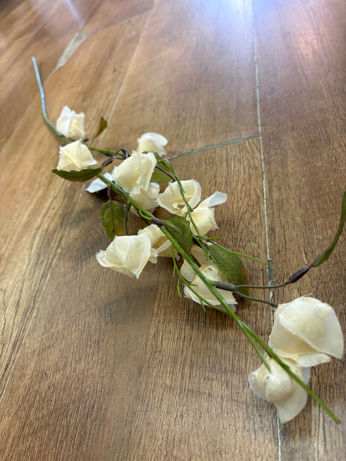 Long stem cream Chinese lantern