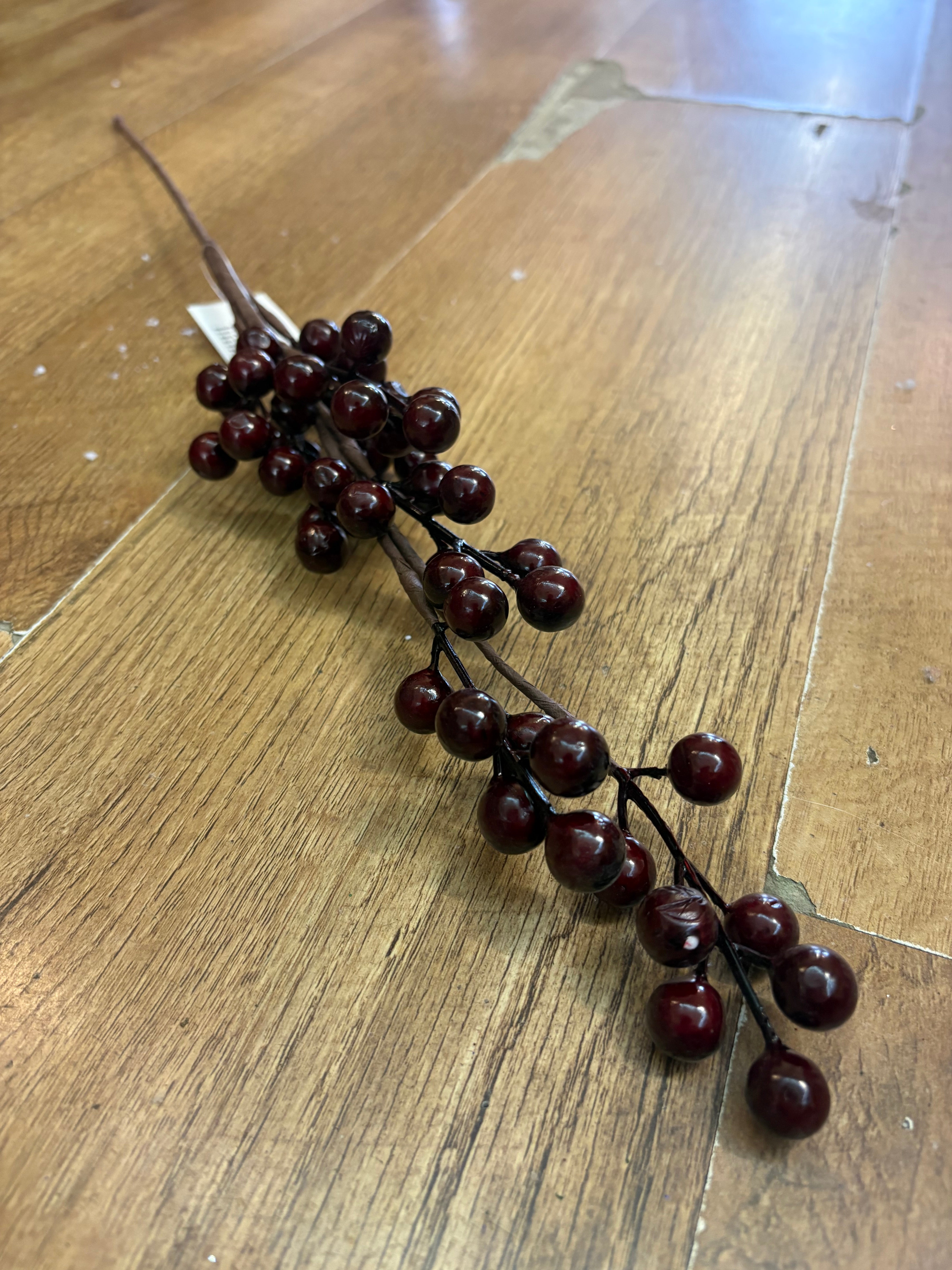 Dark burgundy berry stem