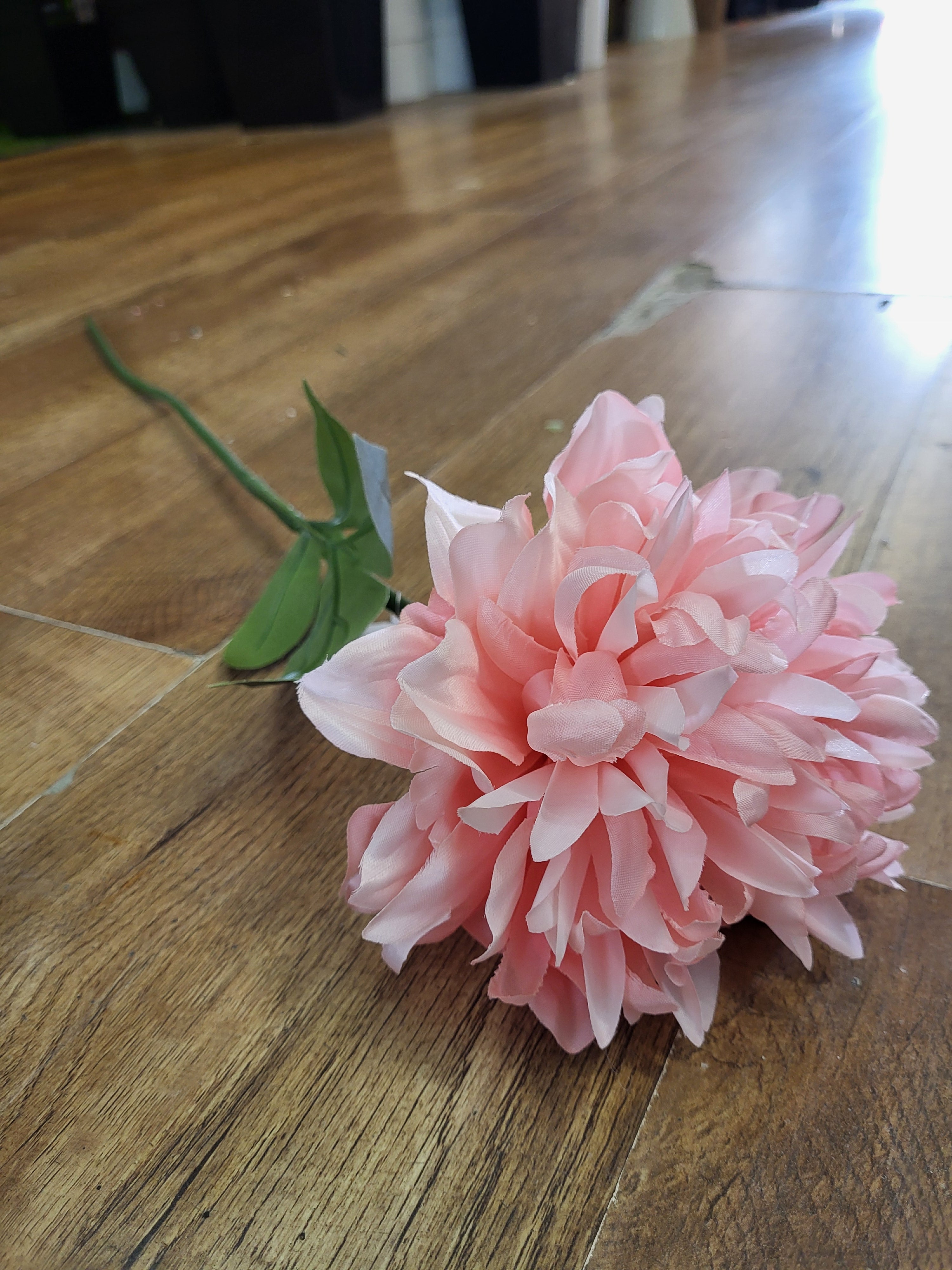 Long stem pale pink spiky mum image 0