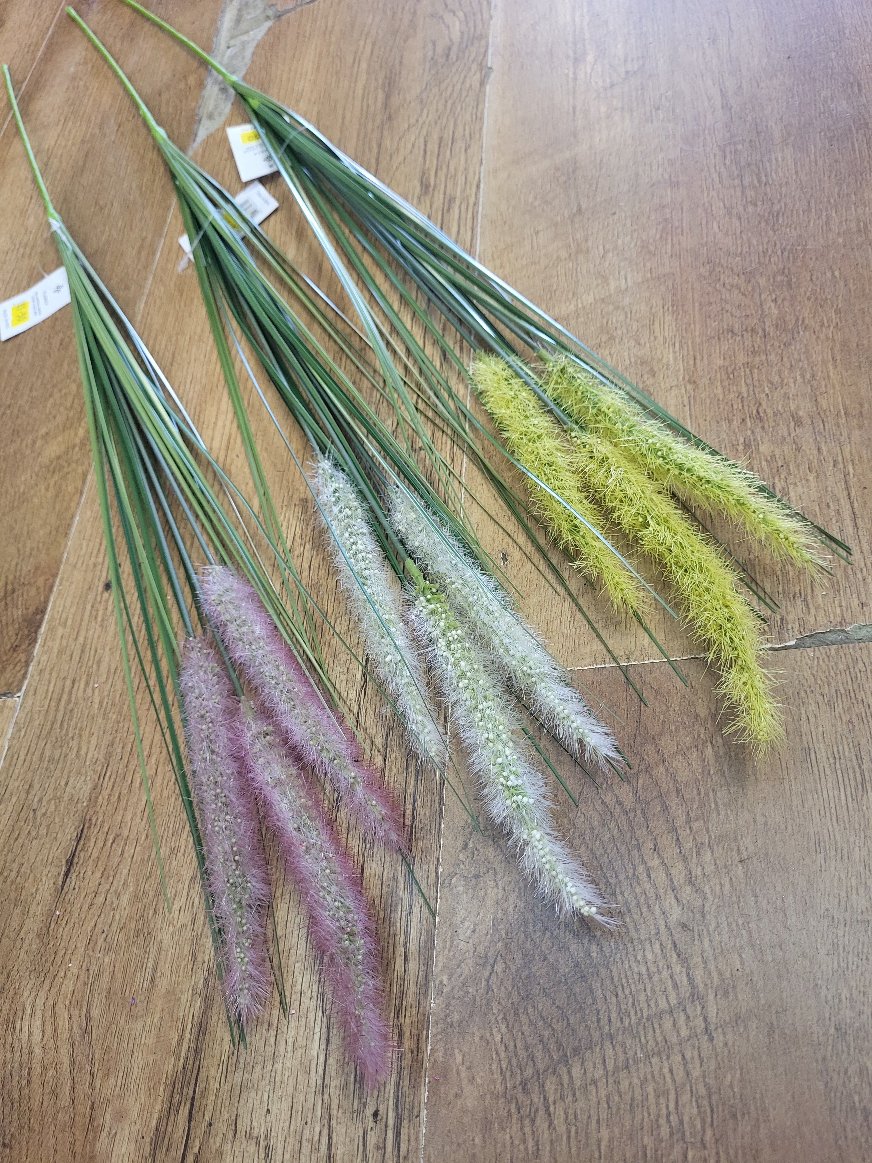 Long stem dog tail grass - 3 colours available image 0