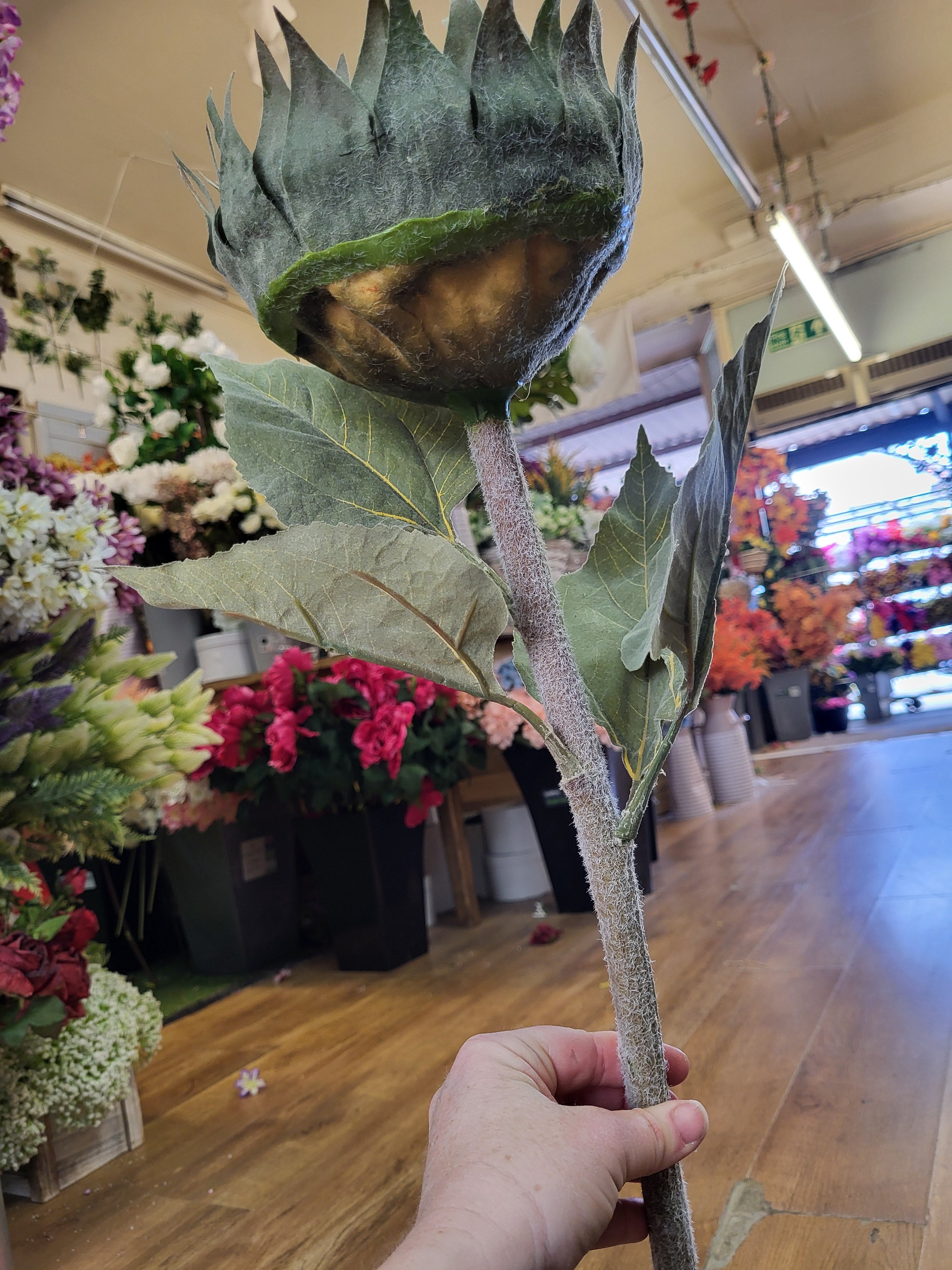 Long stem dried inspired large headed sunflower  image 3