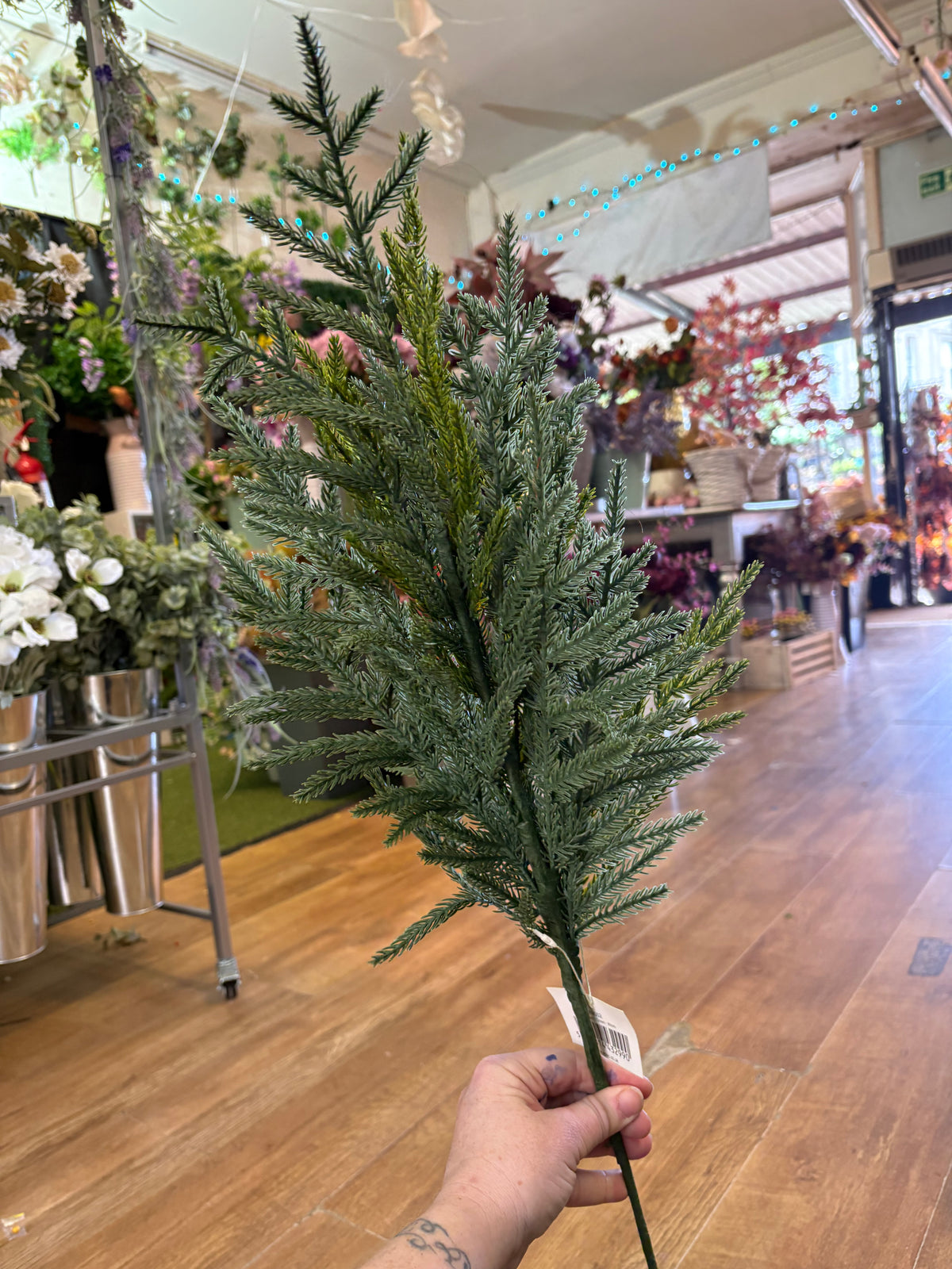 80cm tall realistic spruce stem