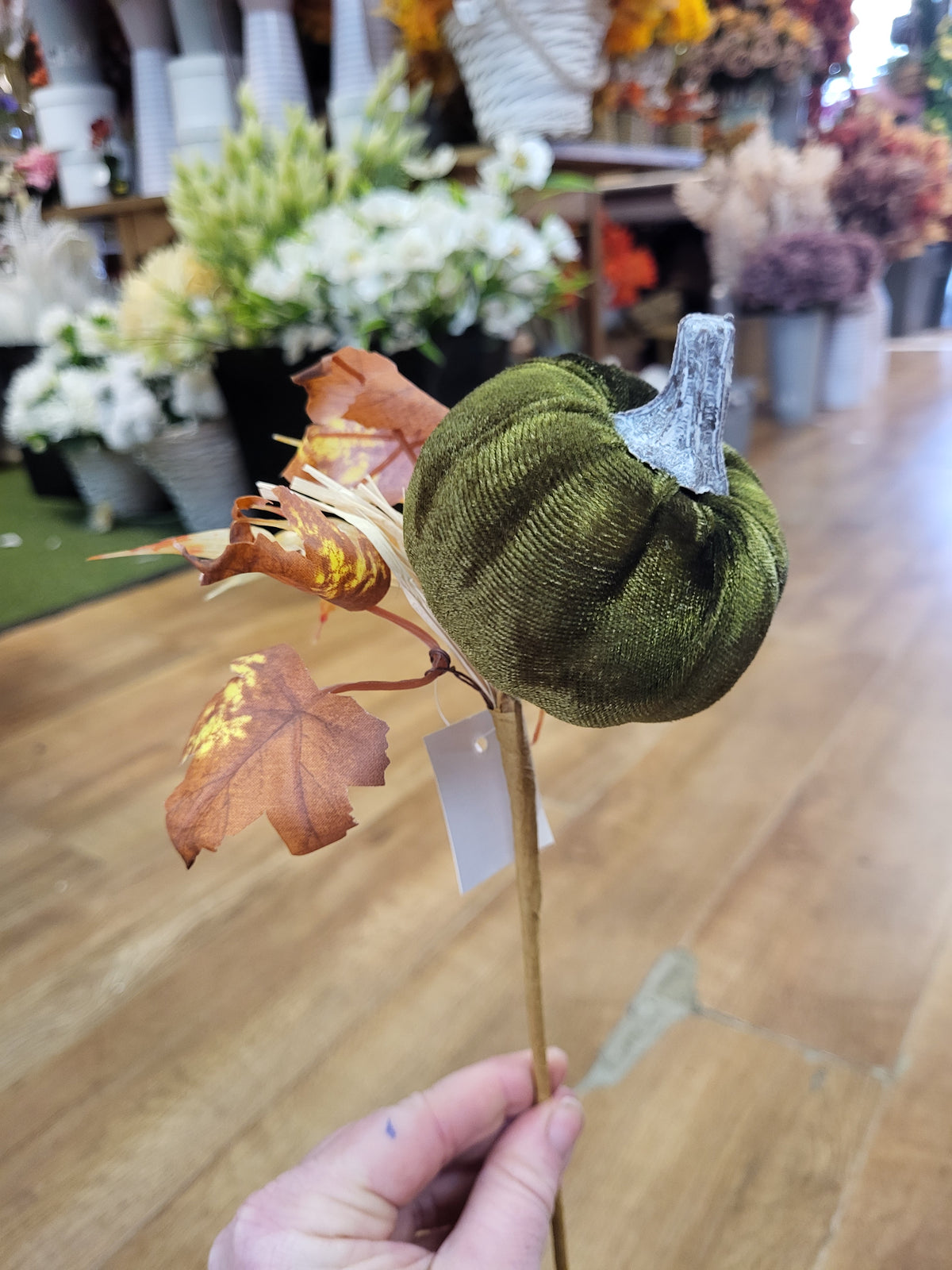 Medium Green velvet pumpkin stem  image 0