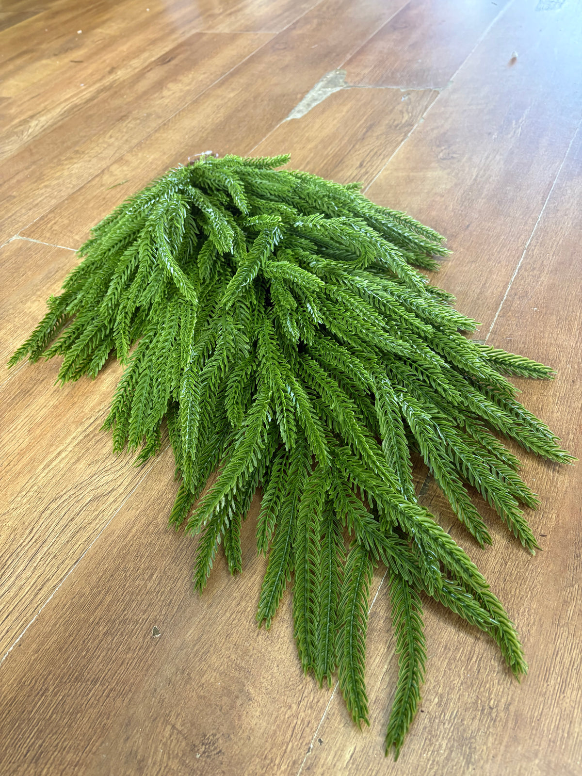 70cm weeping Norfolk pine teardrop swag