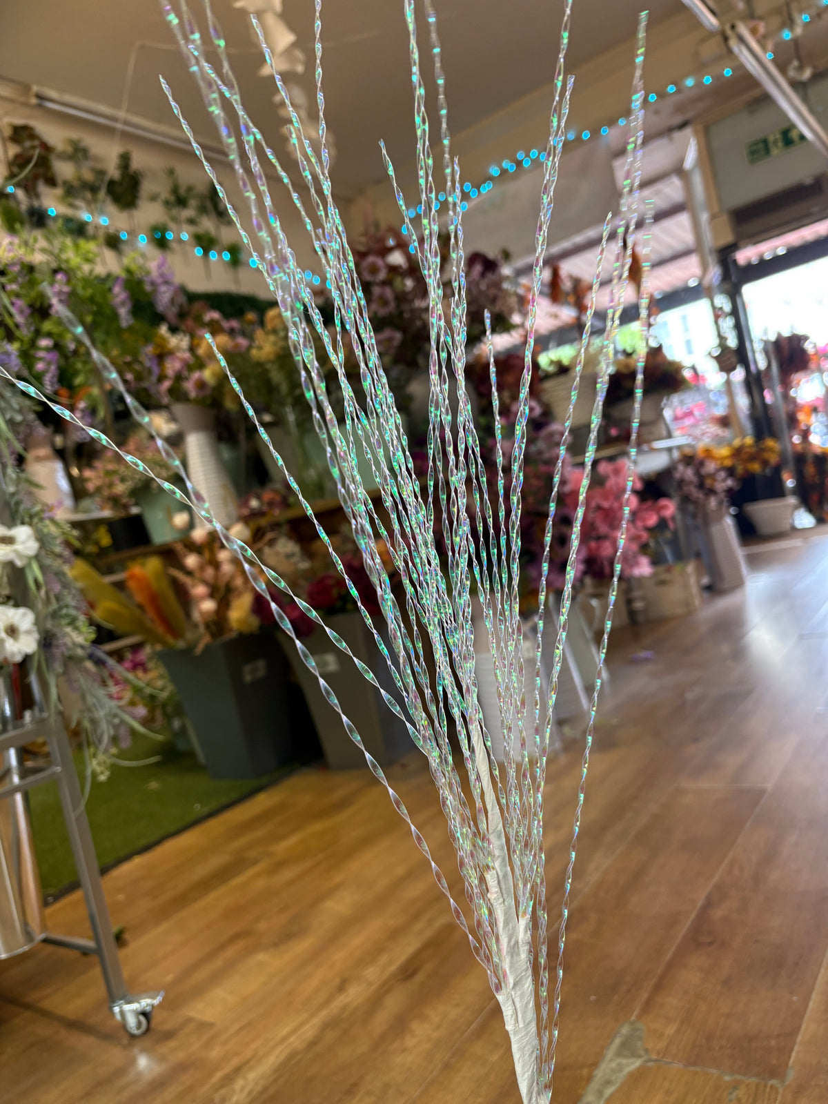 Long stem ‘blue look’ twirly spray