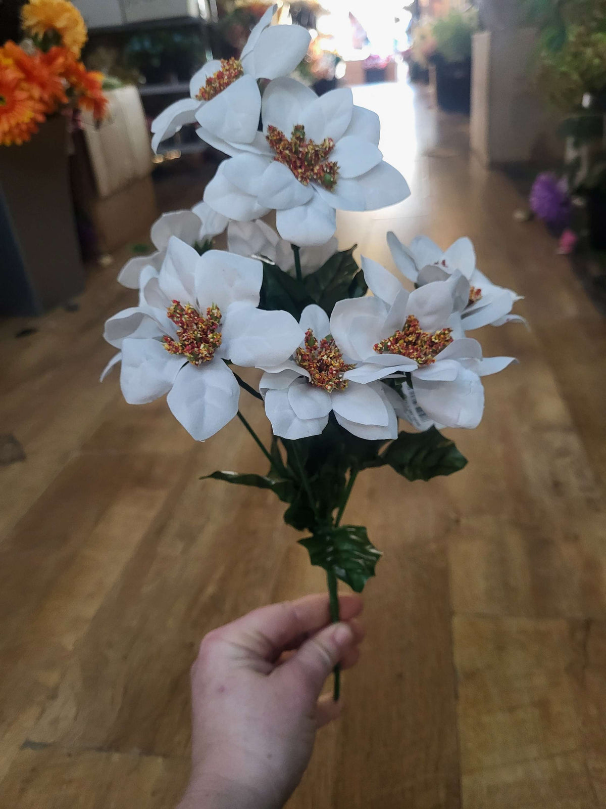 Mini poinsettia bunch - 2 colours available image 5