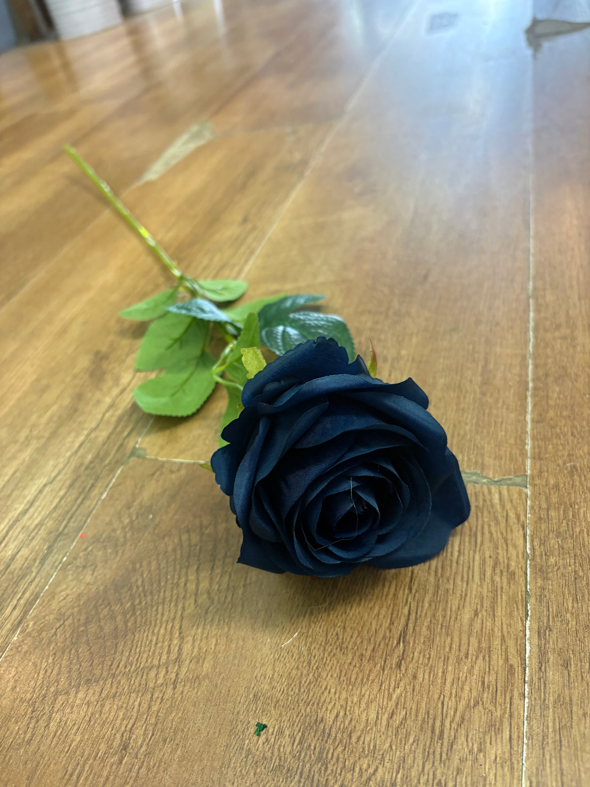 Single Navy harper rose