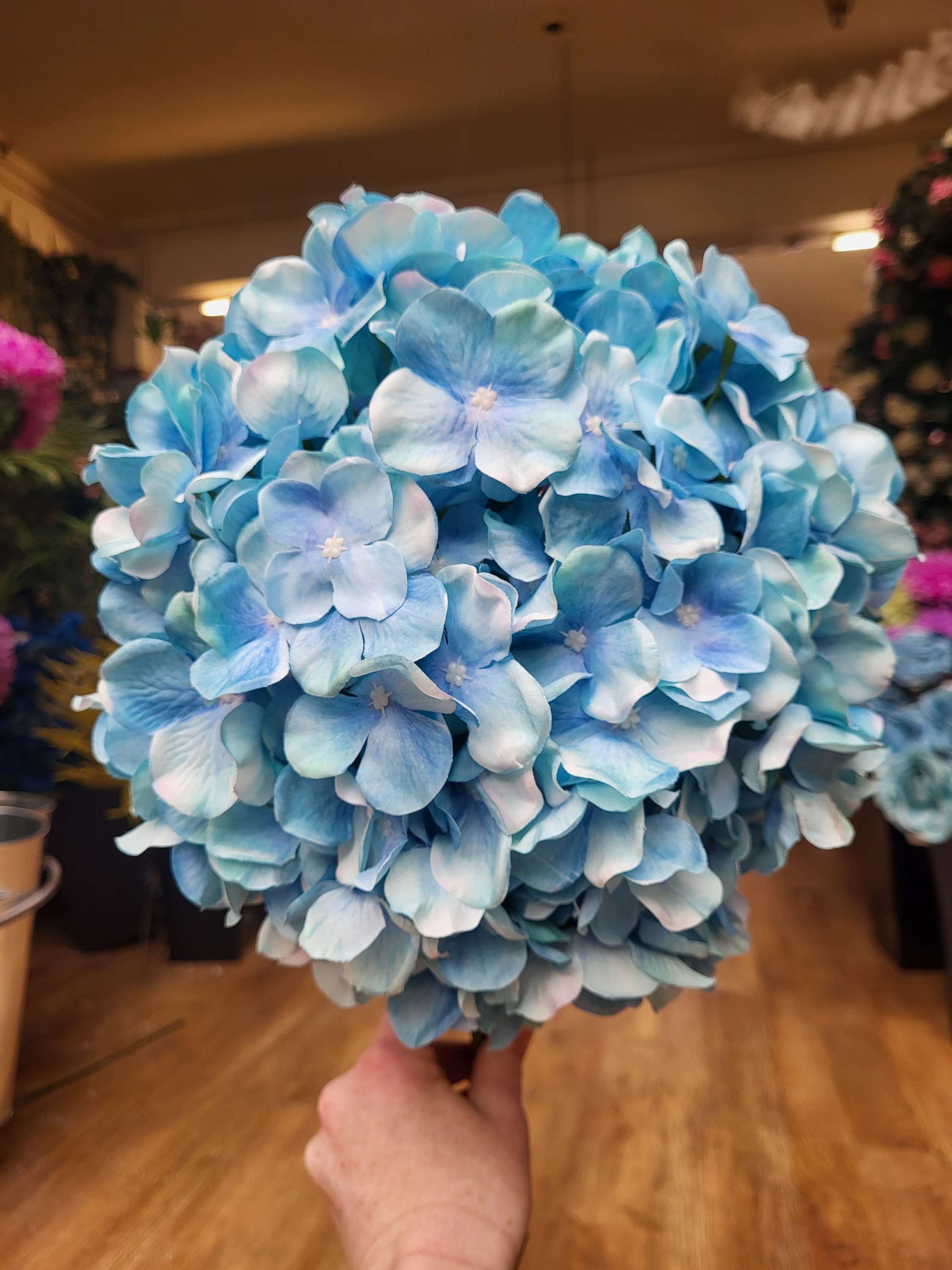 Giant head sky blue premium hydrangea  image 2