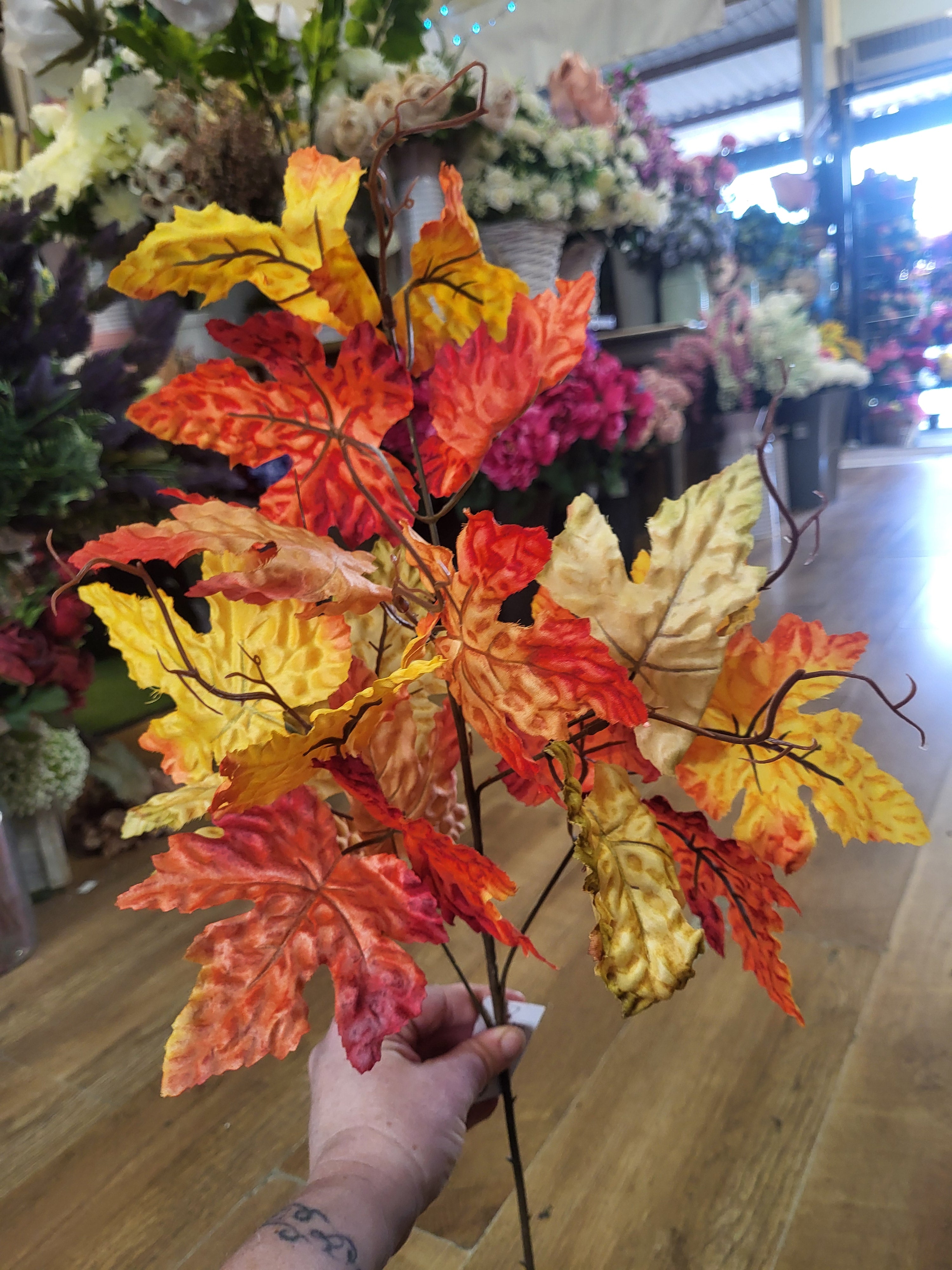 Long stem Autumn Maple leaf image 0