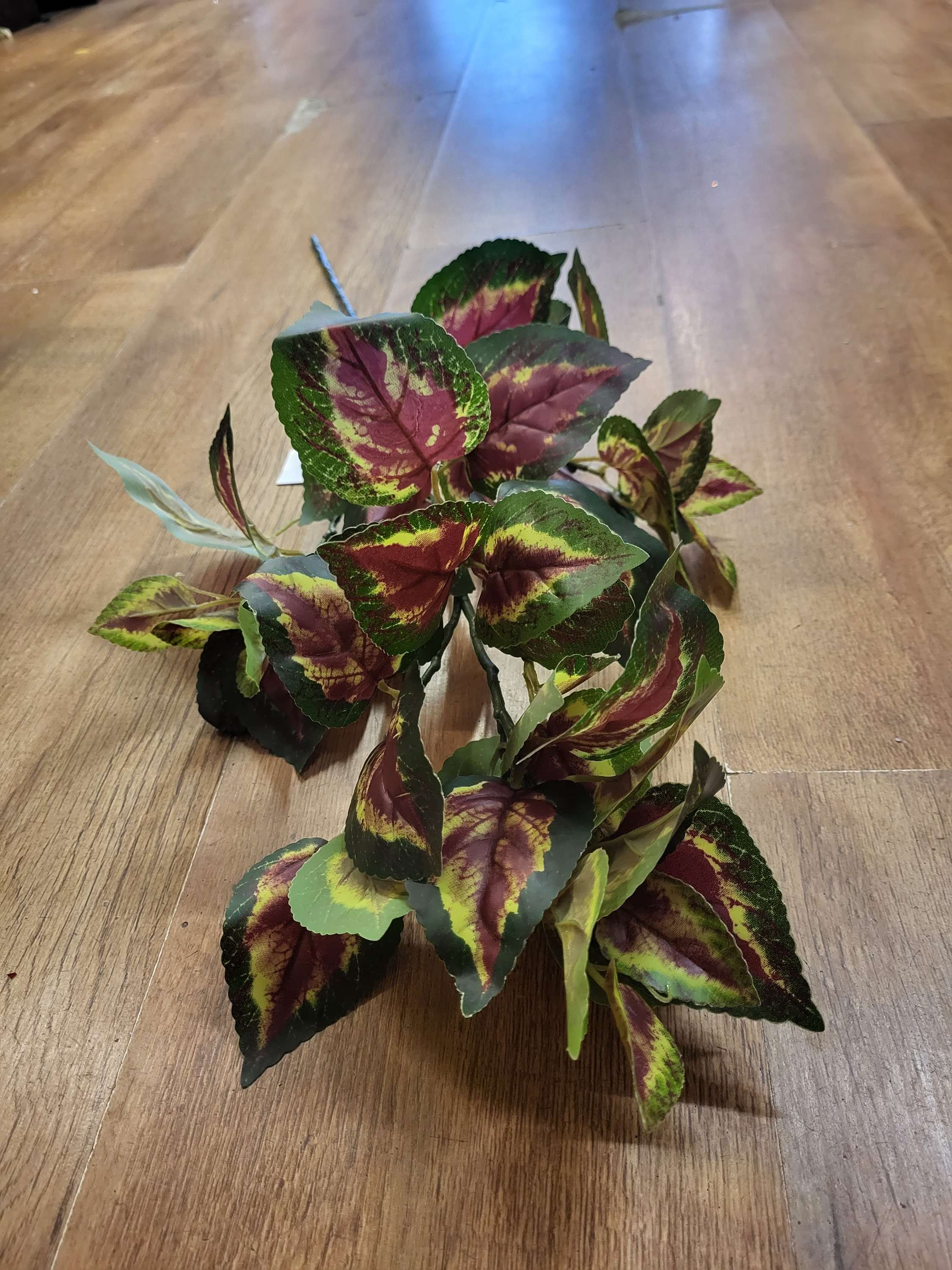 Long stem coleus leaf spray image 4