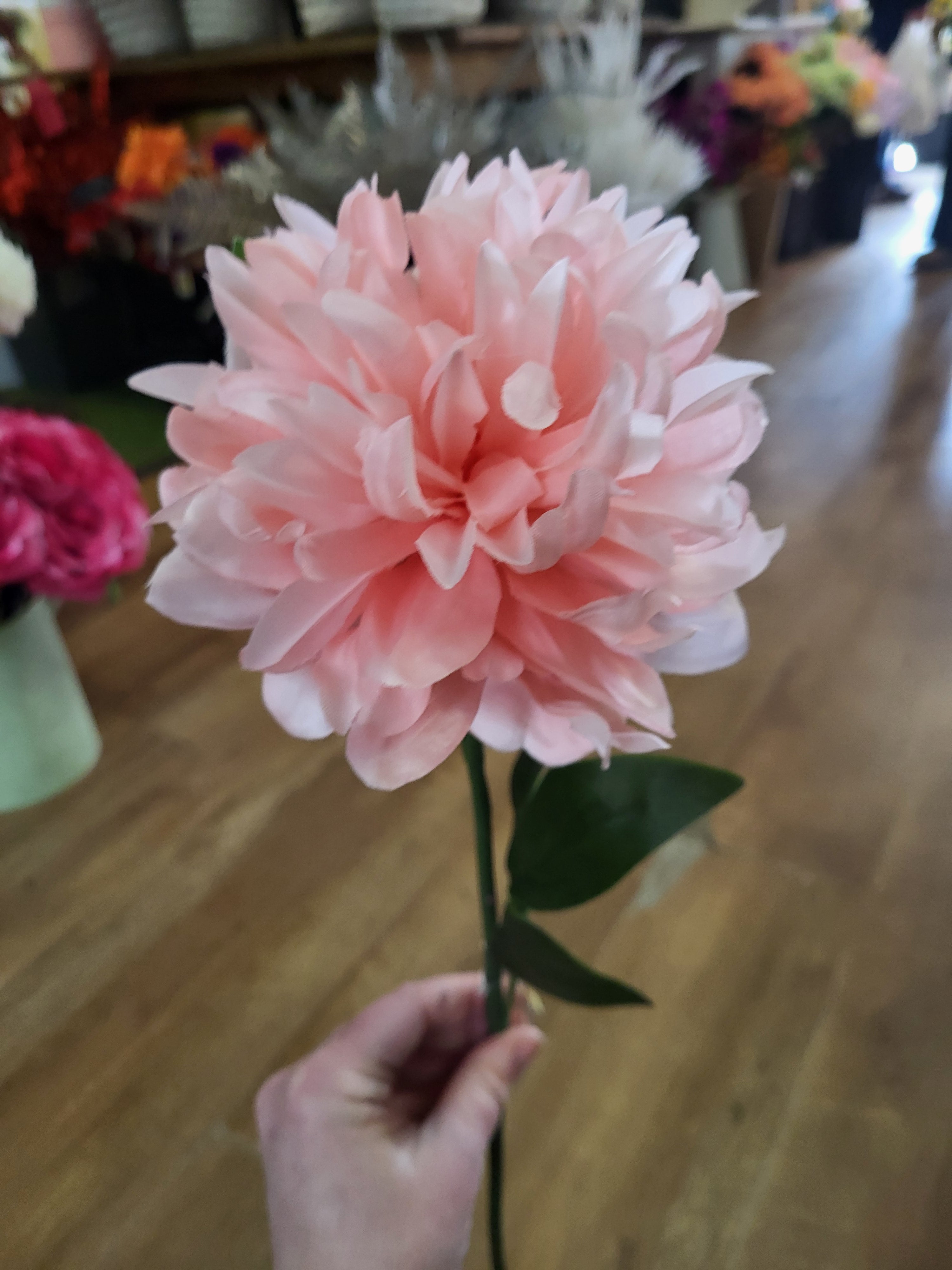 Long stem pale pink spiky mum image 3