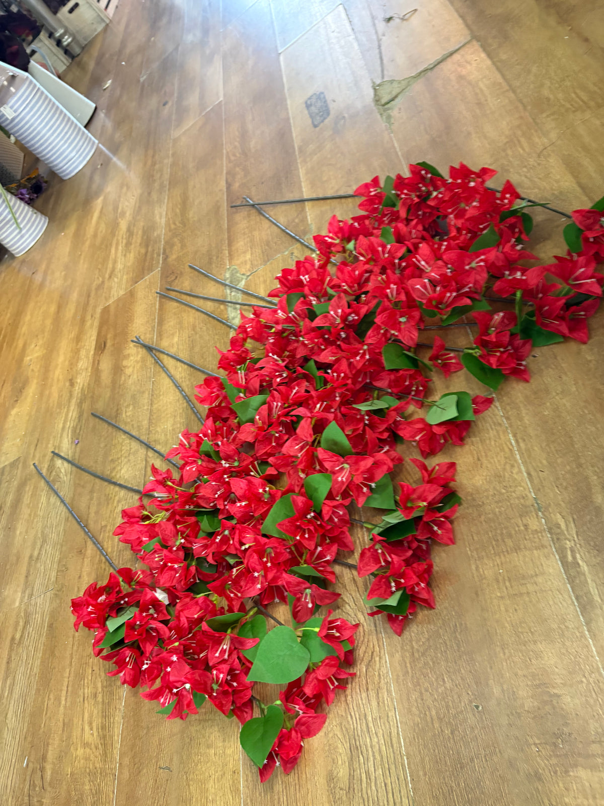 Bundle of 10 long stem red bougainvillea