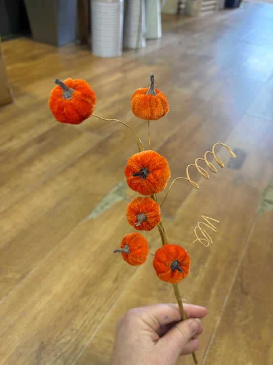 Orange miniature velvet pumpkin stem