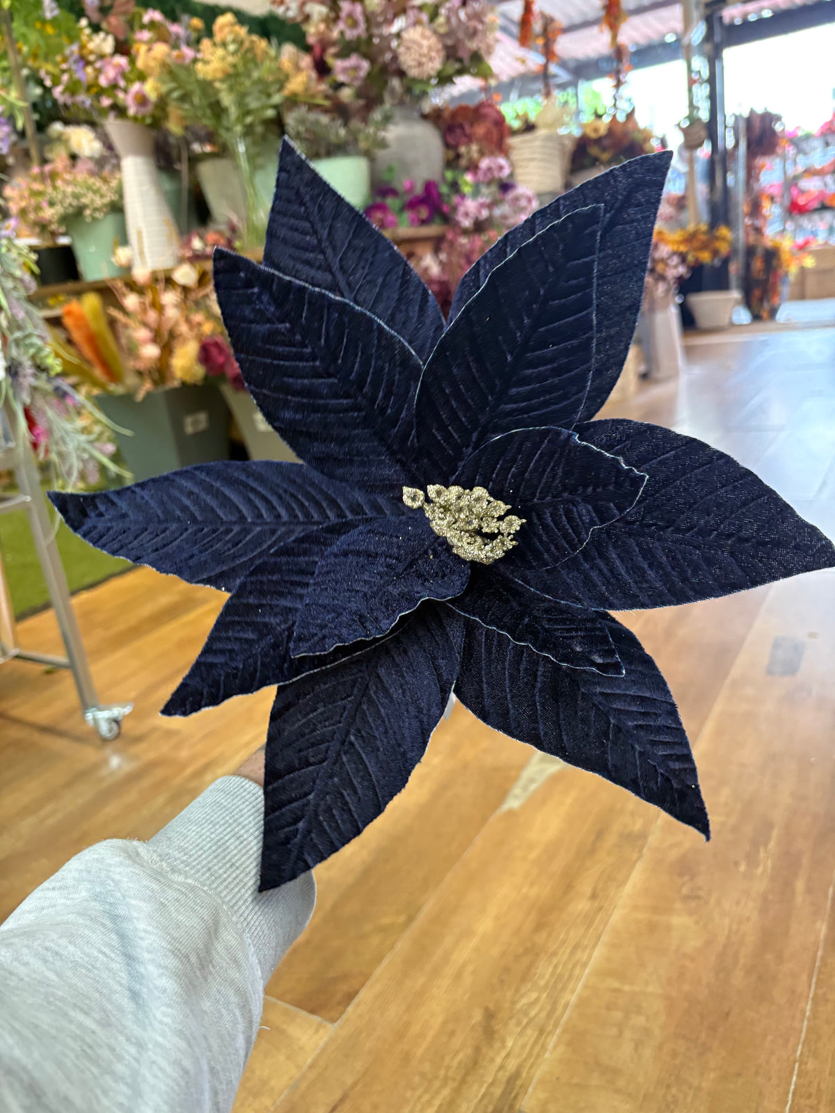 Large navy velvet single poinsettia