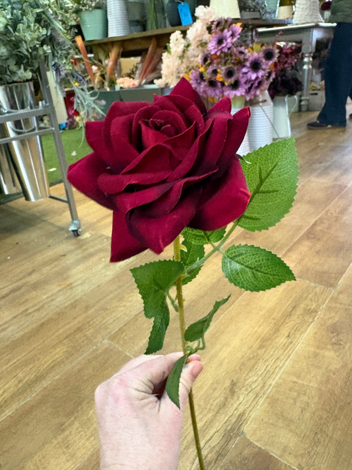 Dark red single velvet rose
