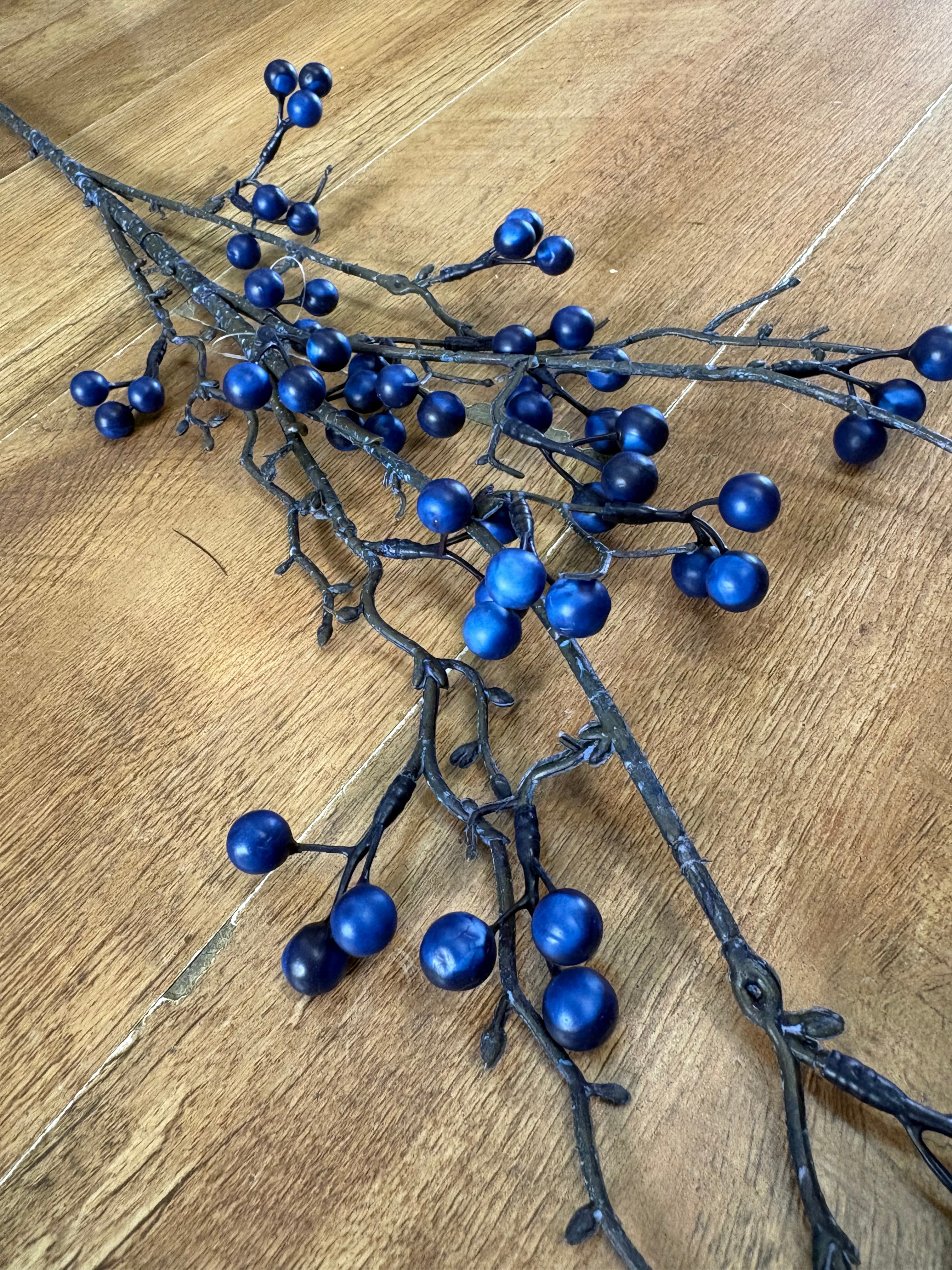 Long stem winter blue berry branch