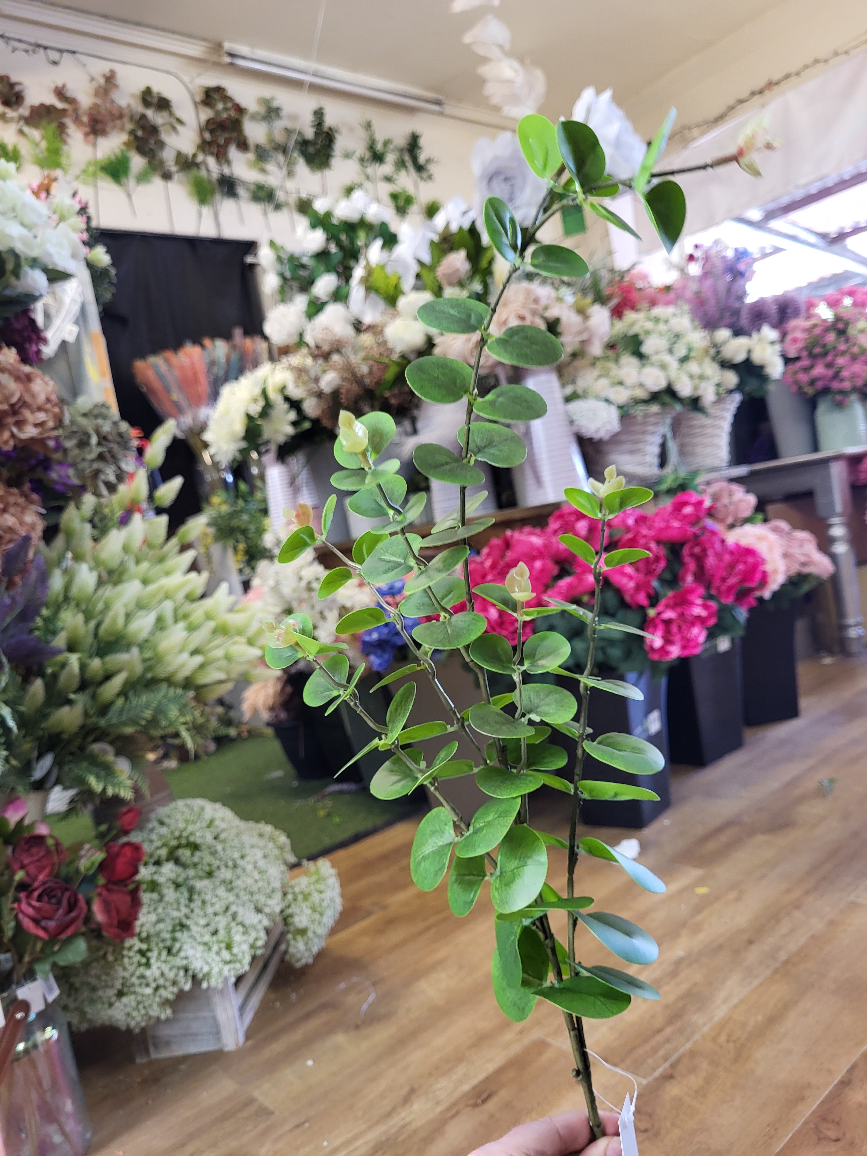 Long stem eucalyptus spray  image 4