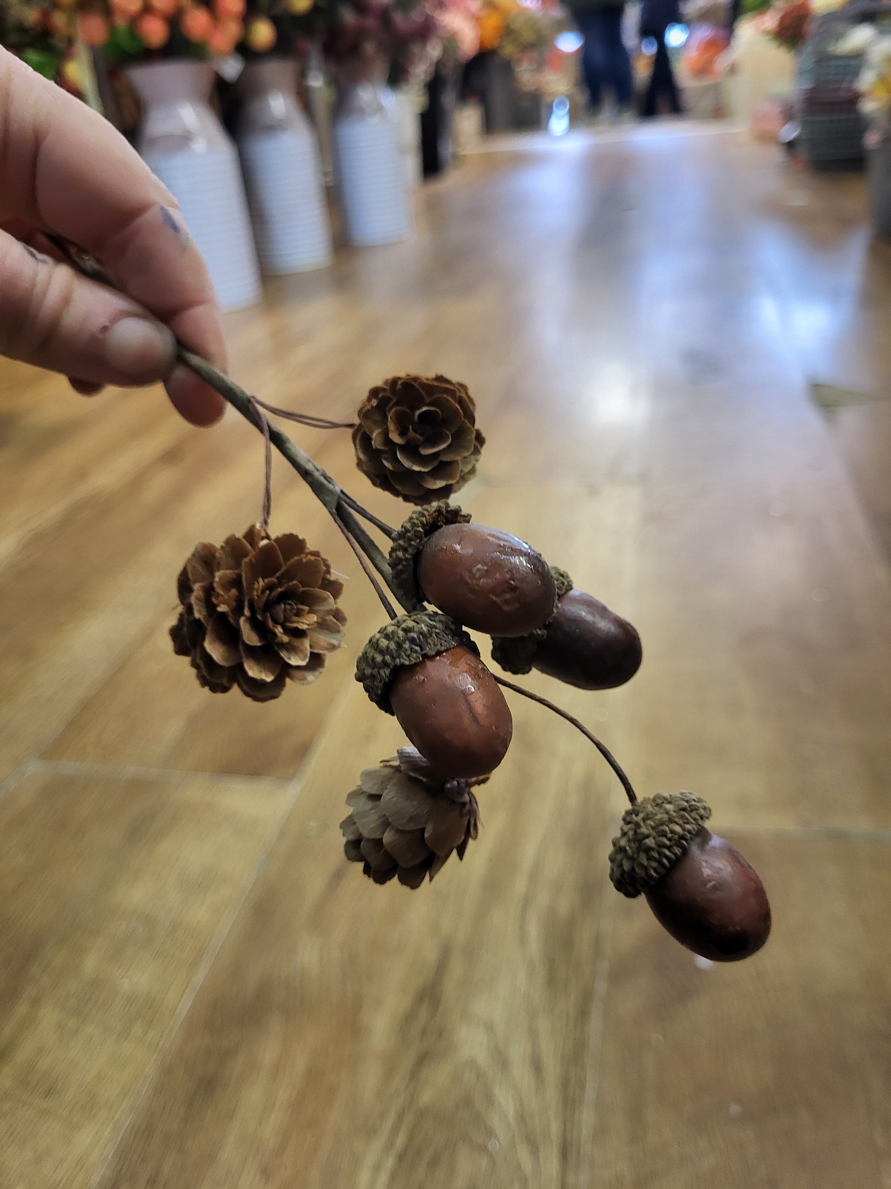 Acorn and cone pick image 1