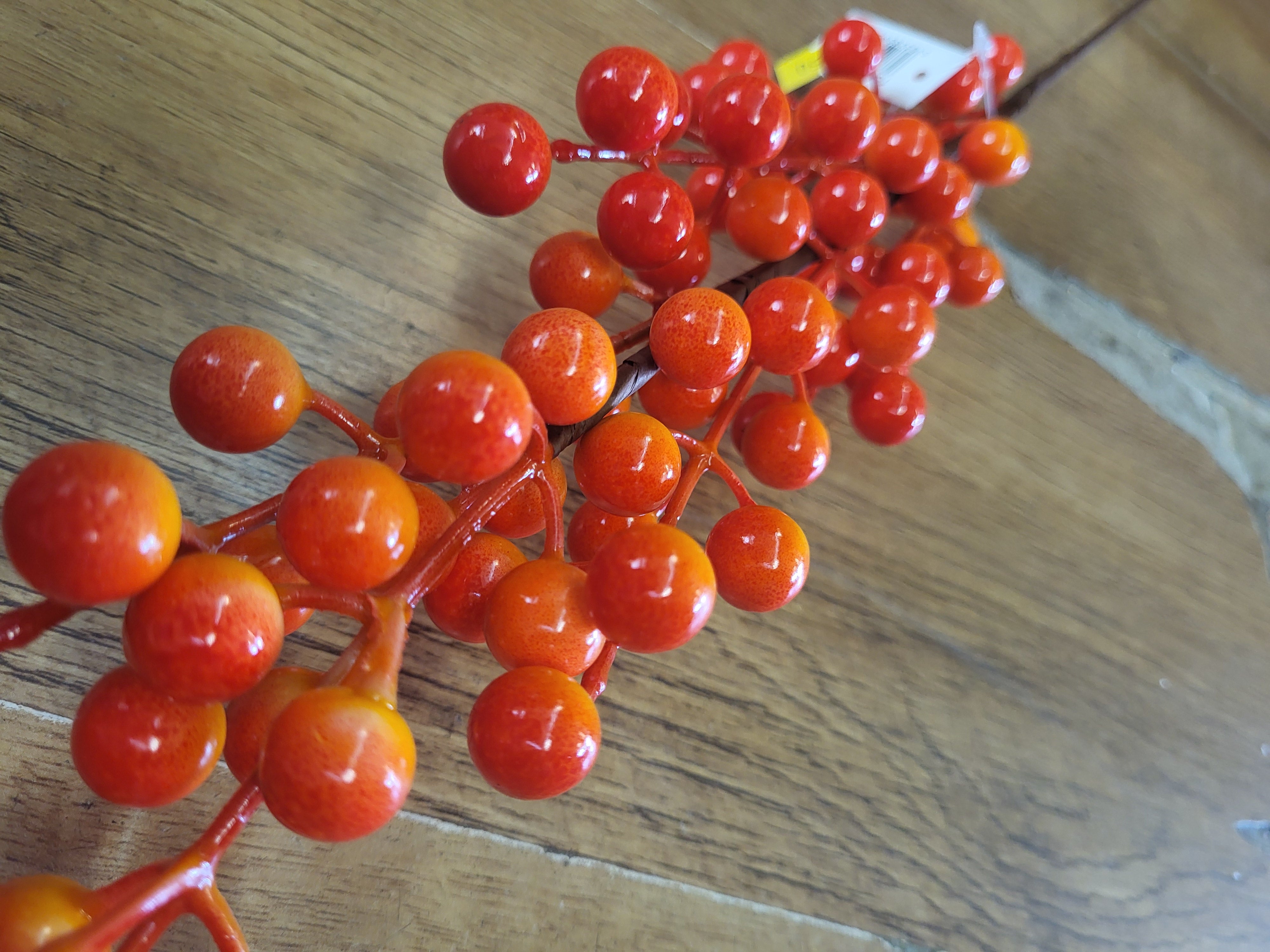 Long stem Orange berry stem image 2