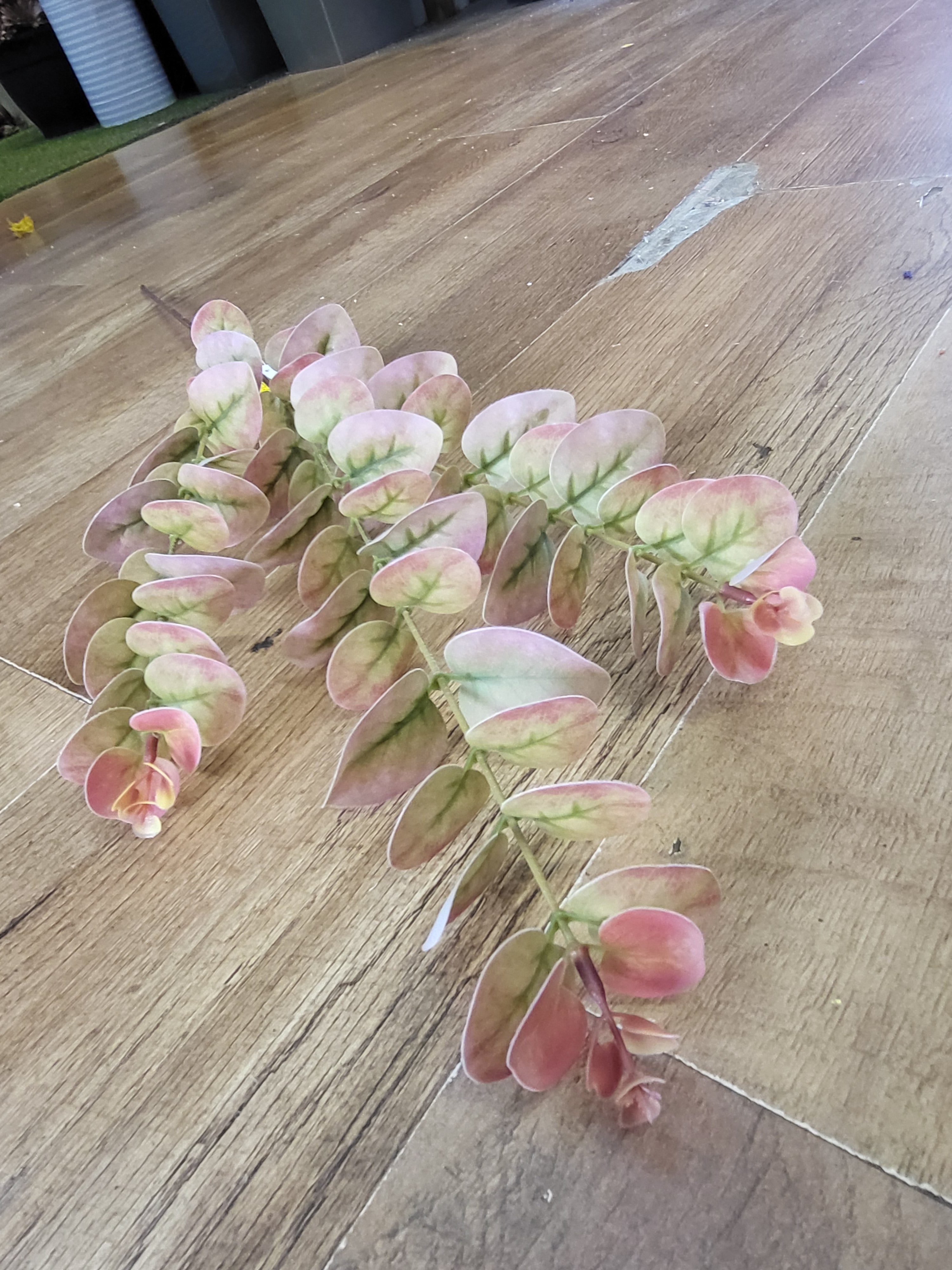 Long stem dark pink and green eucalyptus spray image 3