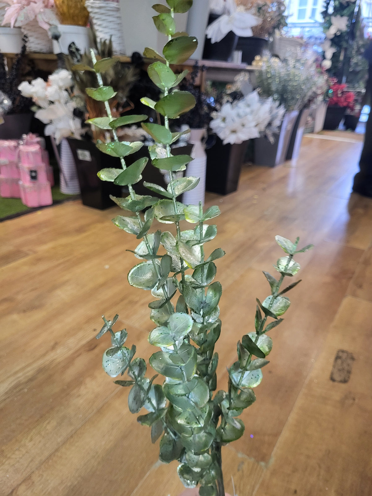 Long stem metallic sage green eucalyptus image 0
