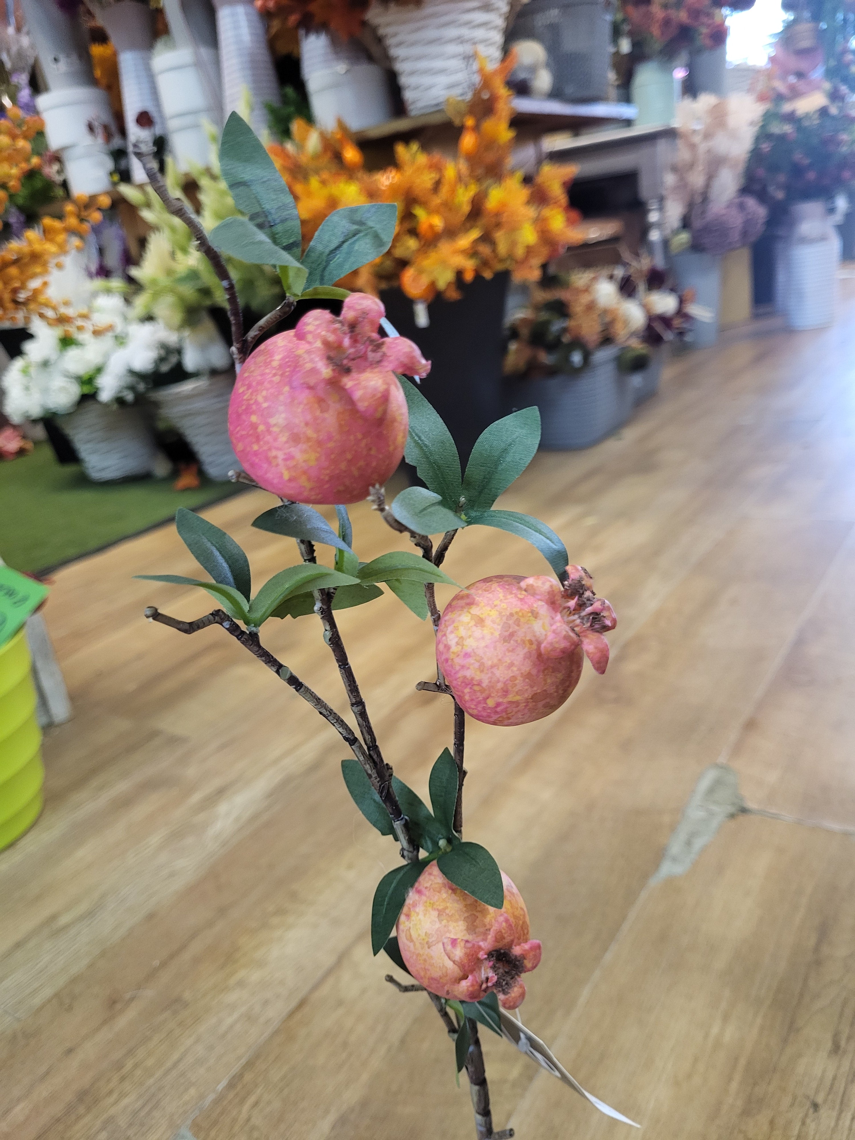 54cm pomegranate stem image 1