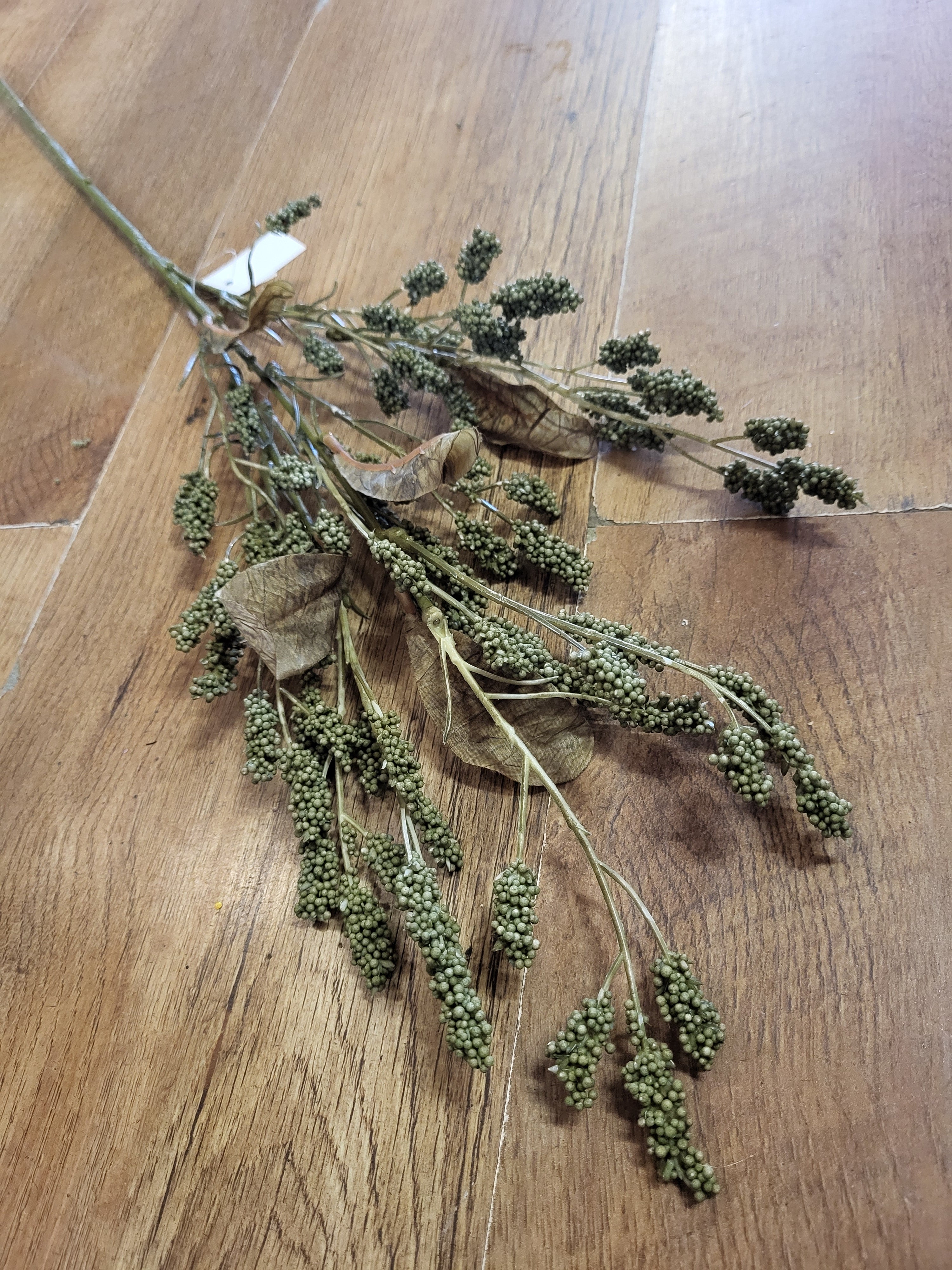 Dried inspired green grain sorghum spray image 2